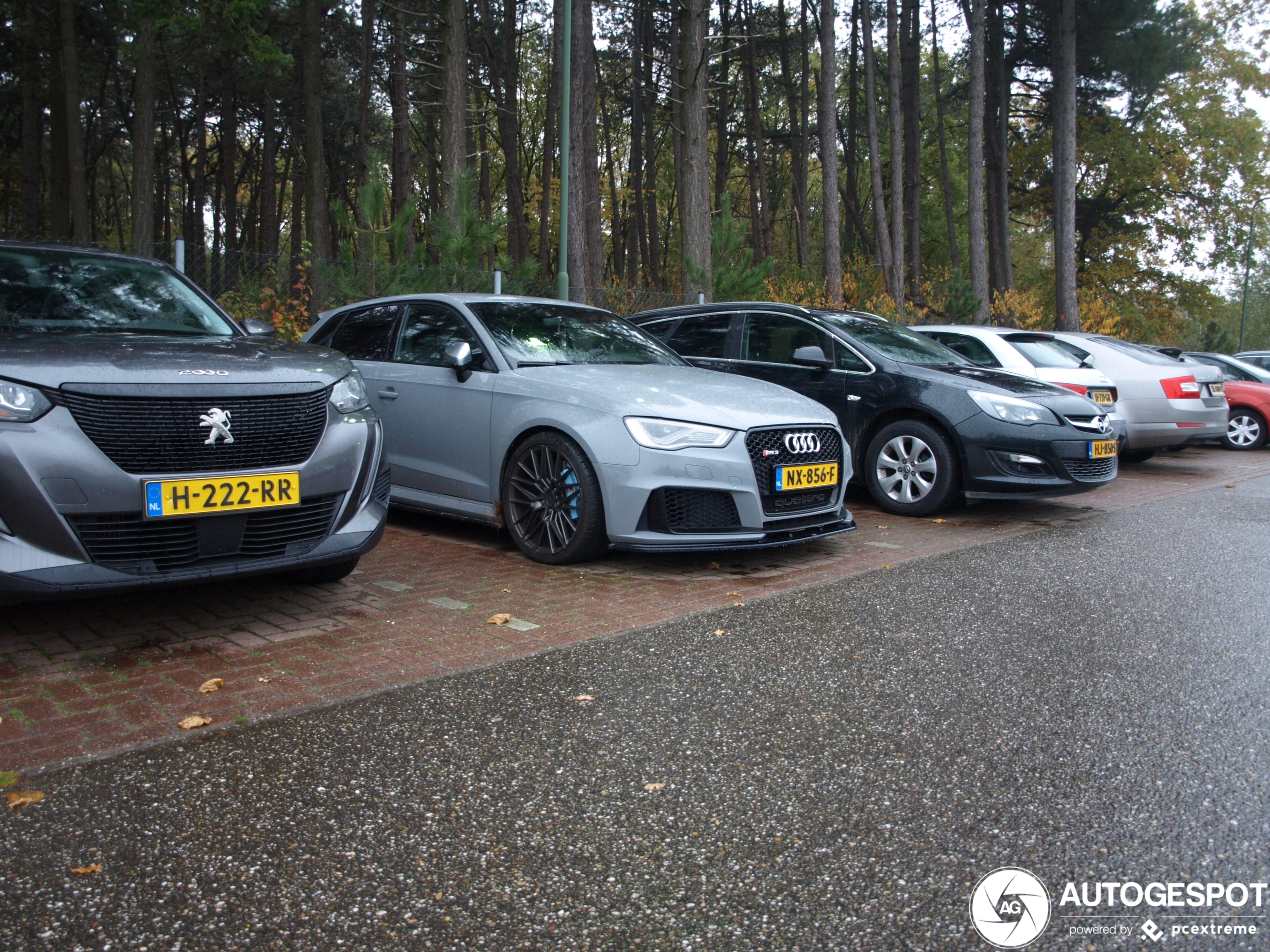 Audi RS3 Sportback 8V