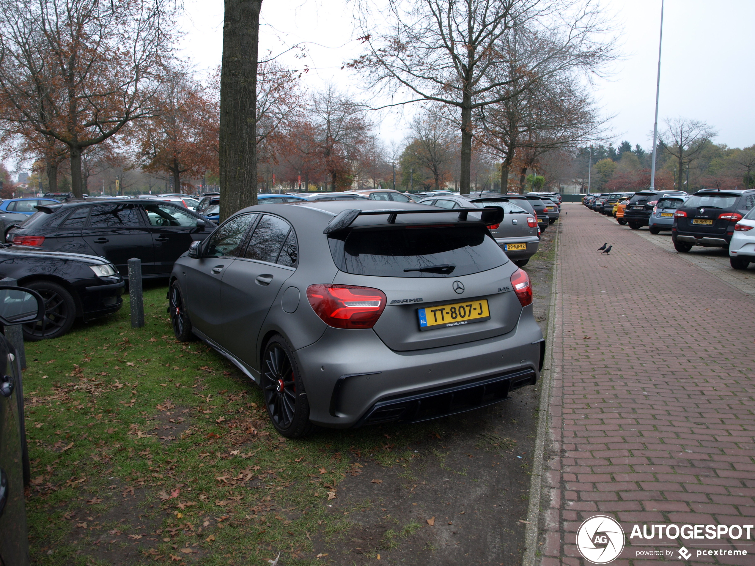 Mercedes-AMG A 45 W176 2015