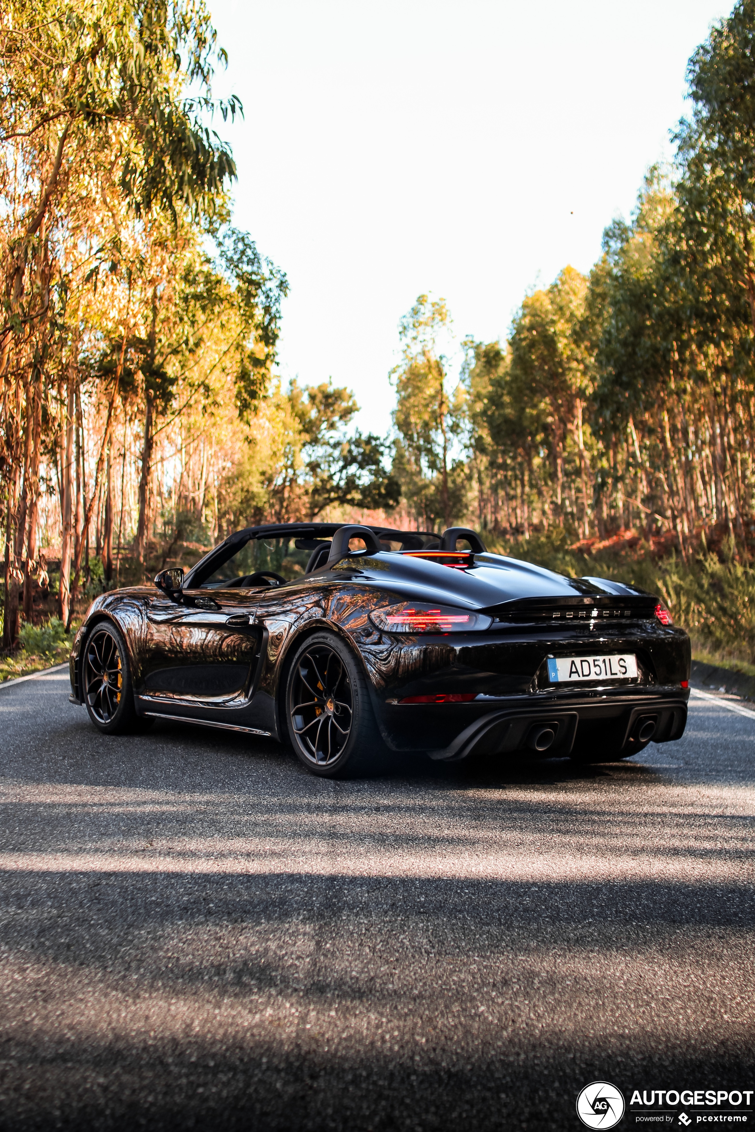 Porsche 718 Spyder