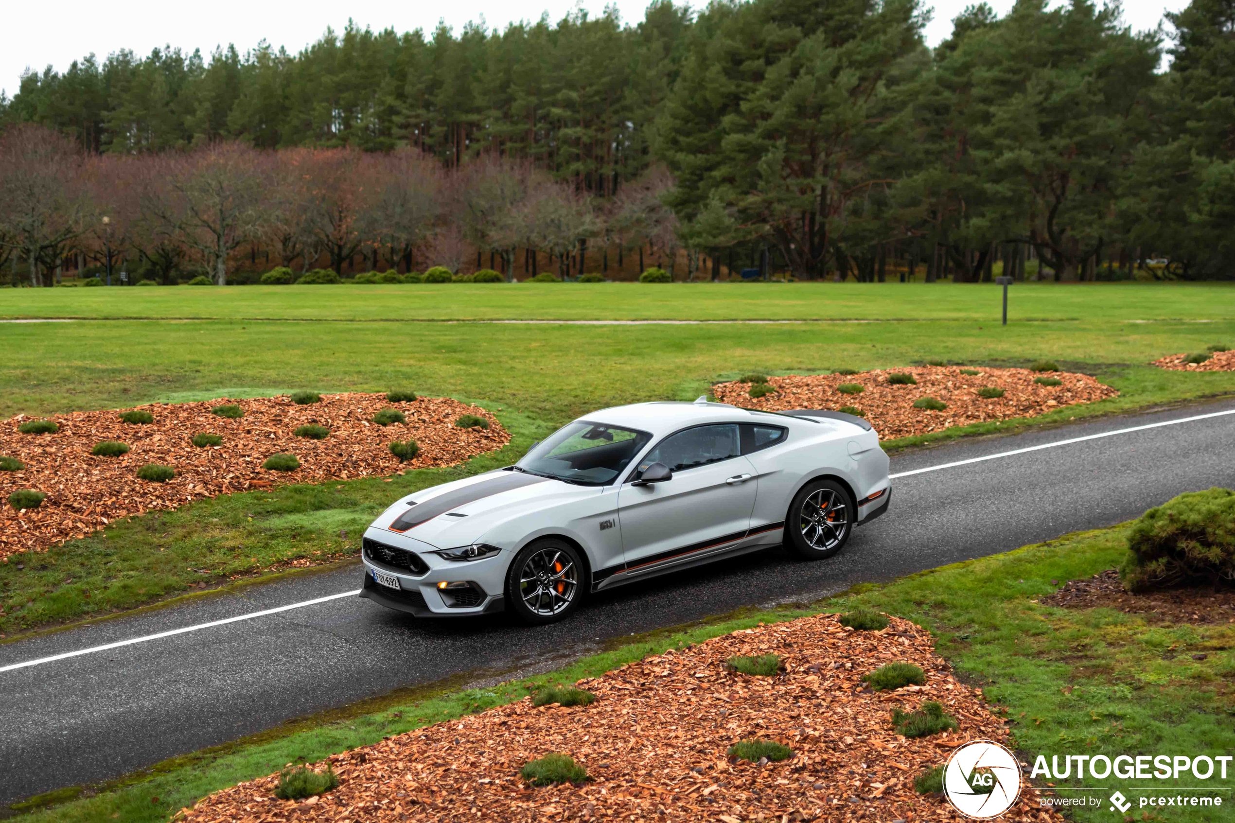 Ford Mustang Mach 1 2021