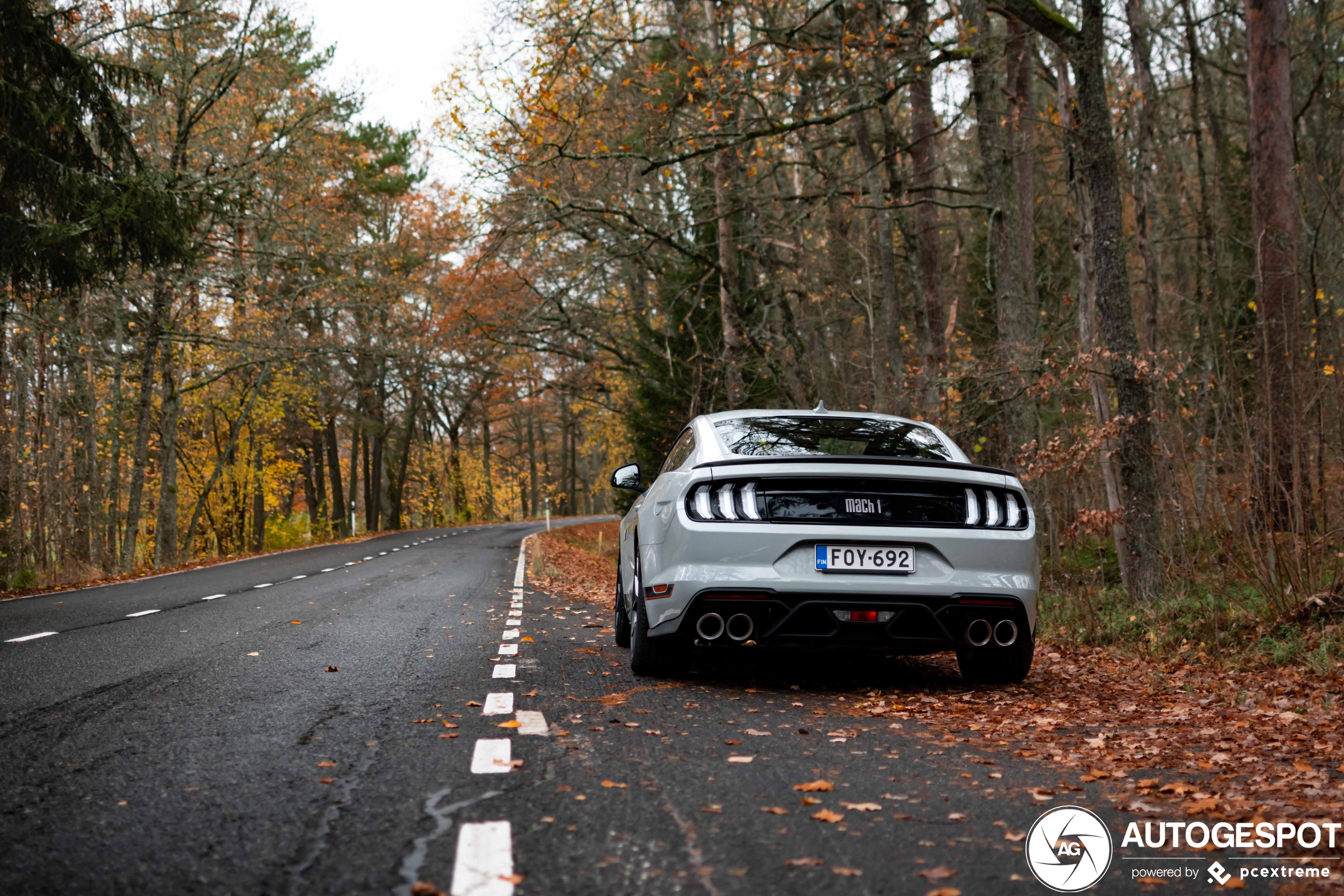 Herfstplaatjes van de Mustang Mach 1