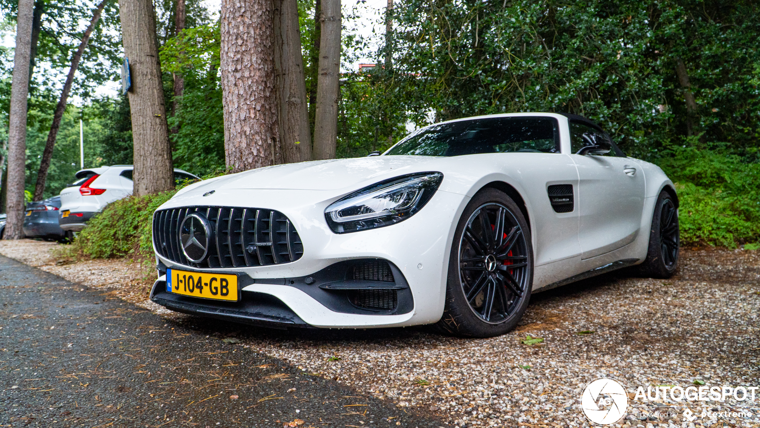 Mercedes-AMG GT C Roadster R190 2019