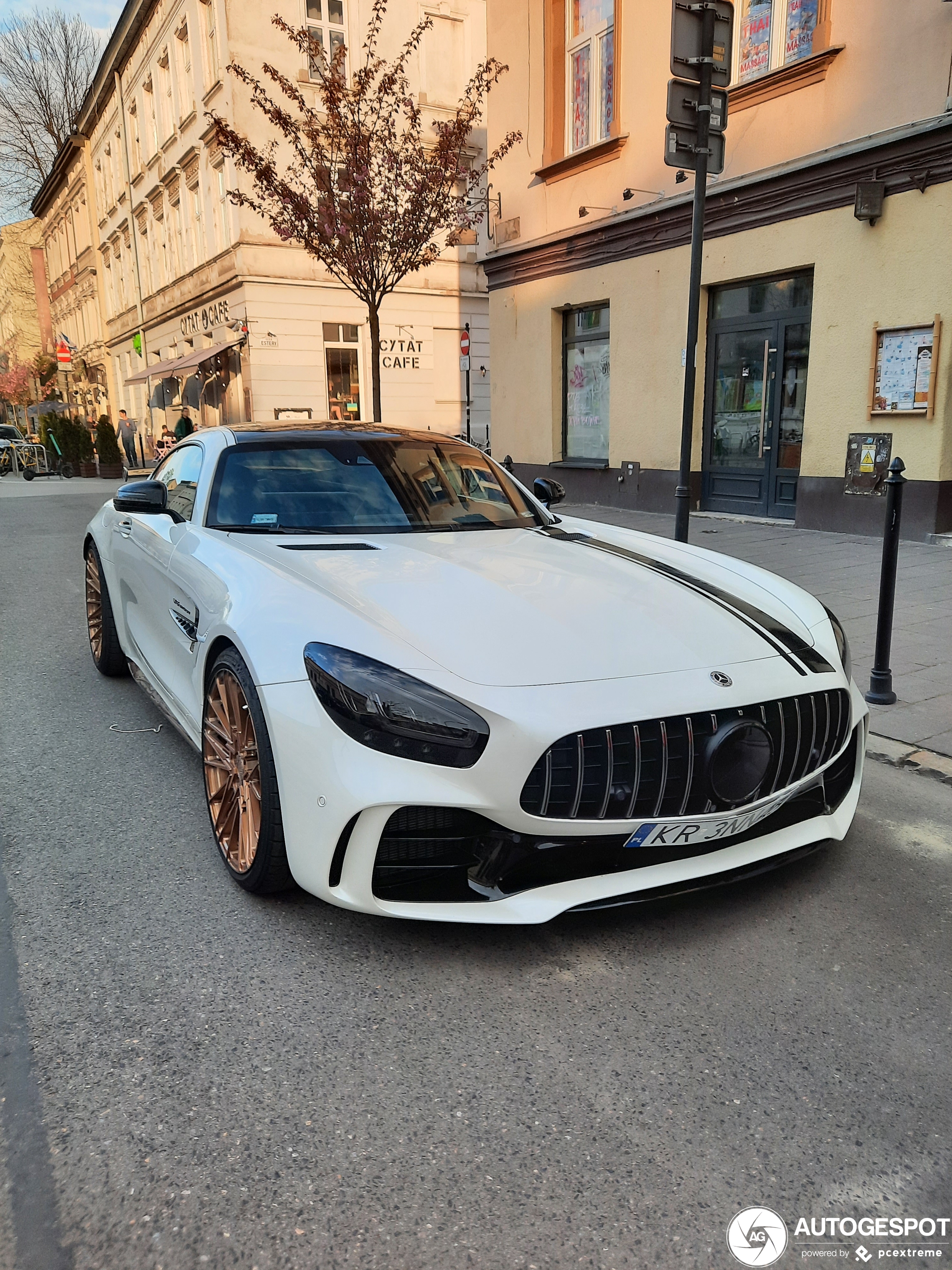 Mercedes-AMG GT R C190 2019