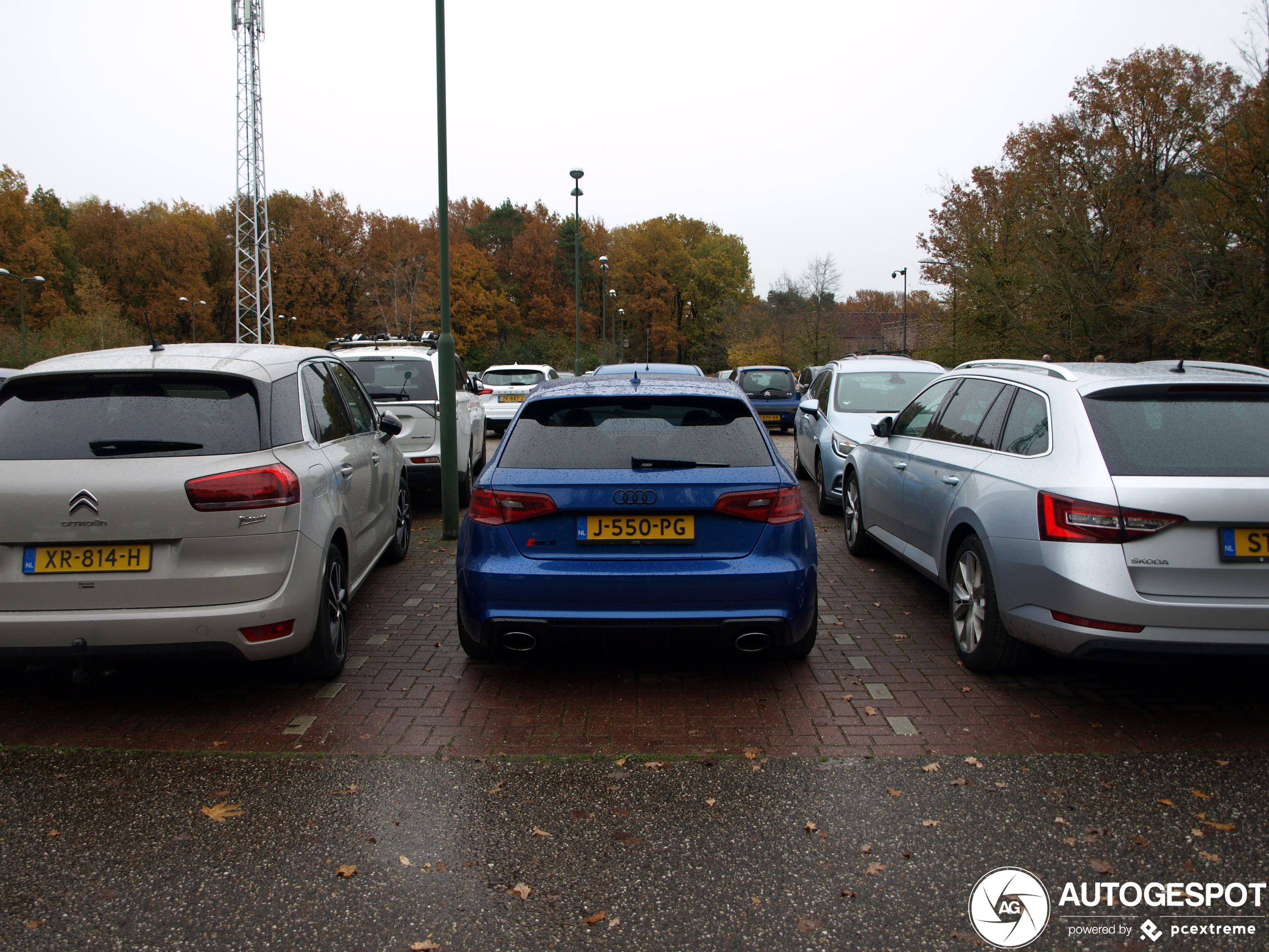 Audi RS3 Sportback 8V