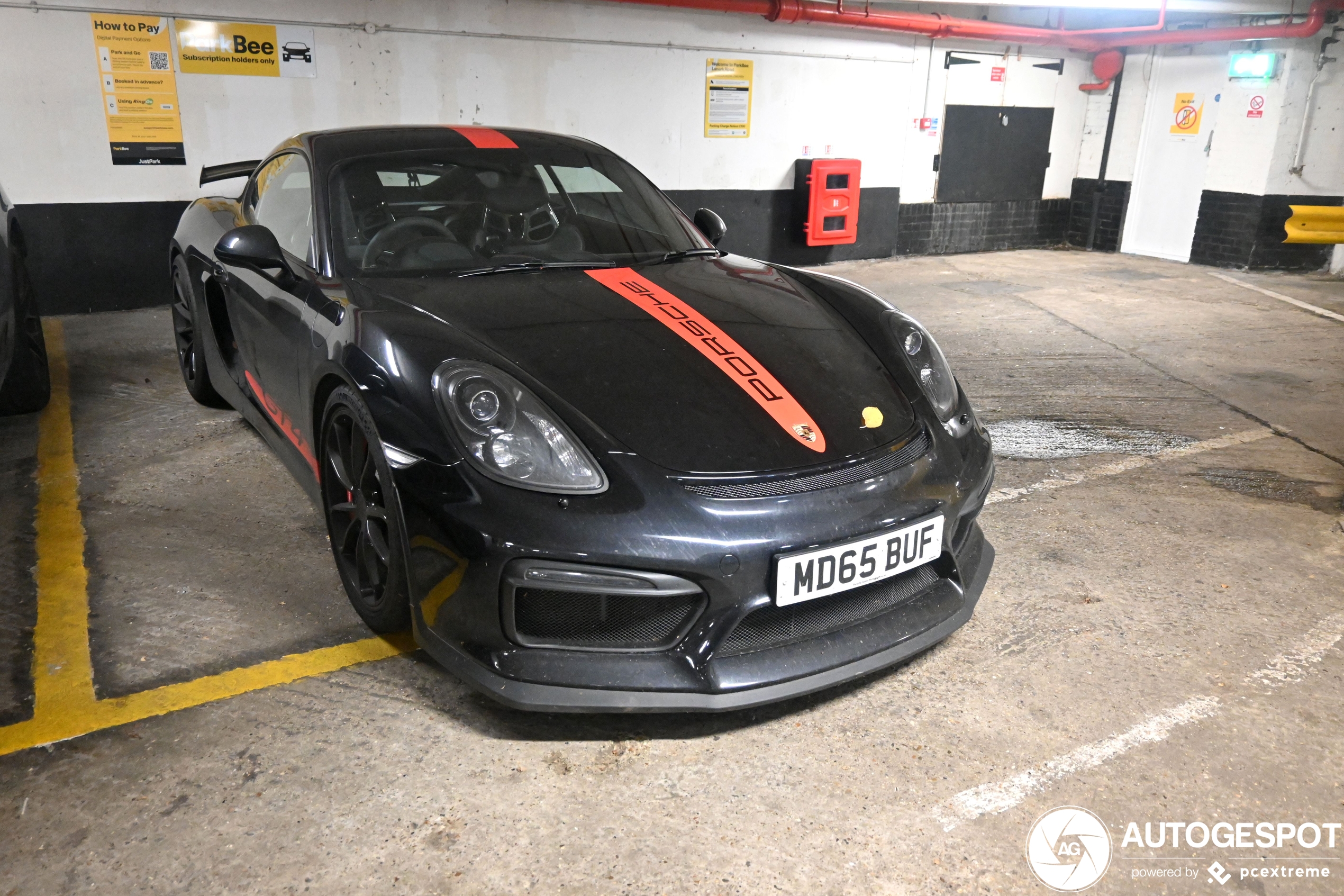 Porsche 981 Cayman GT4