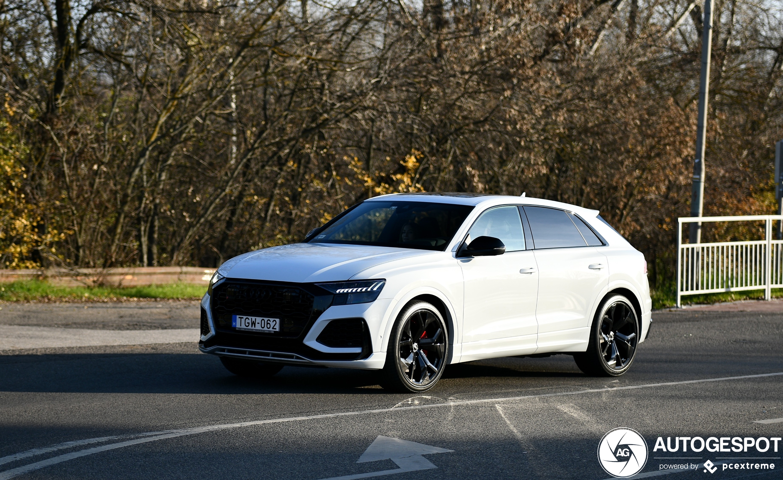 Audi RS Q8