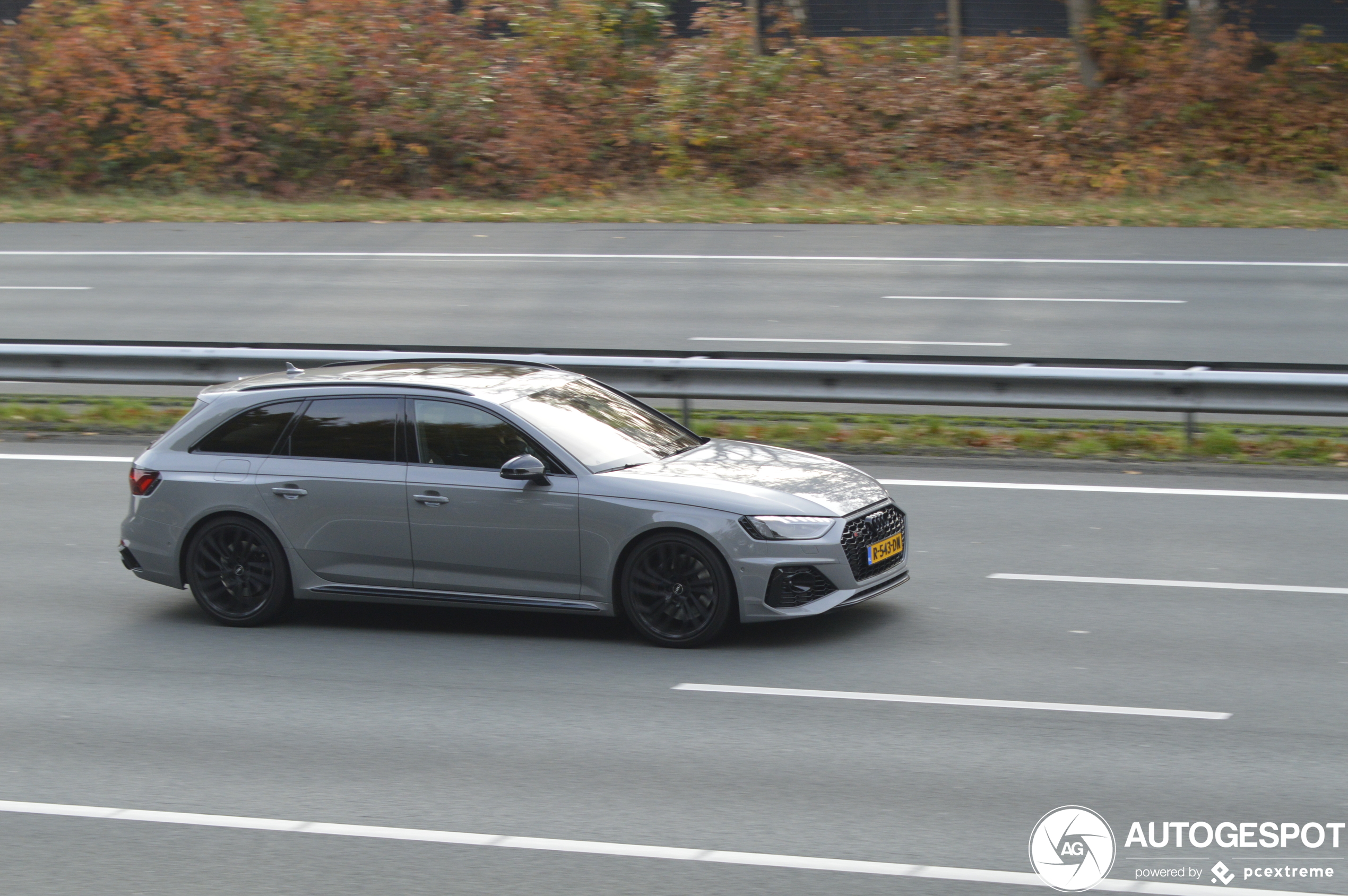 Audi RS4 Avant B9 2020