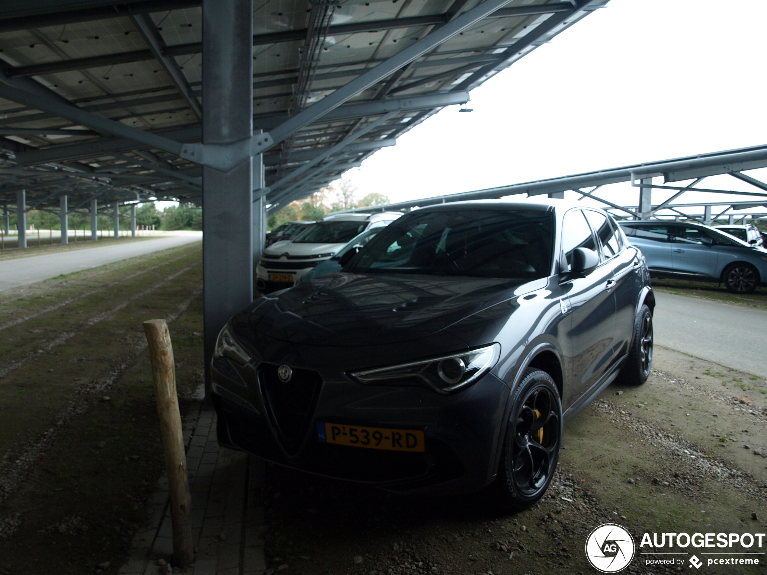 Alfa Romeo Stelvio Quadrifoglio