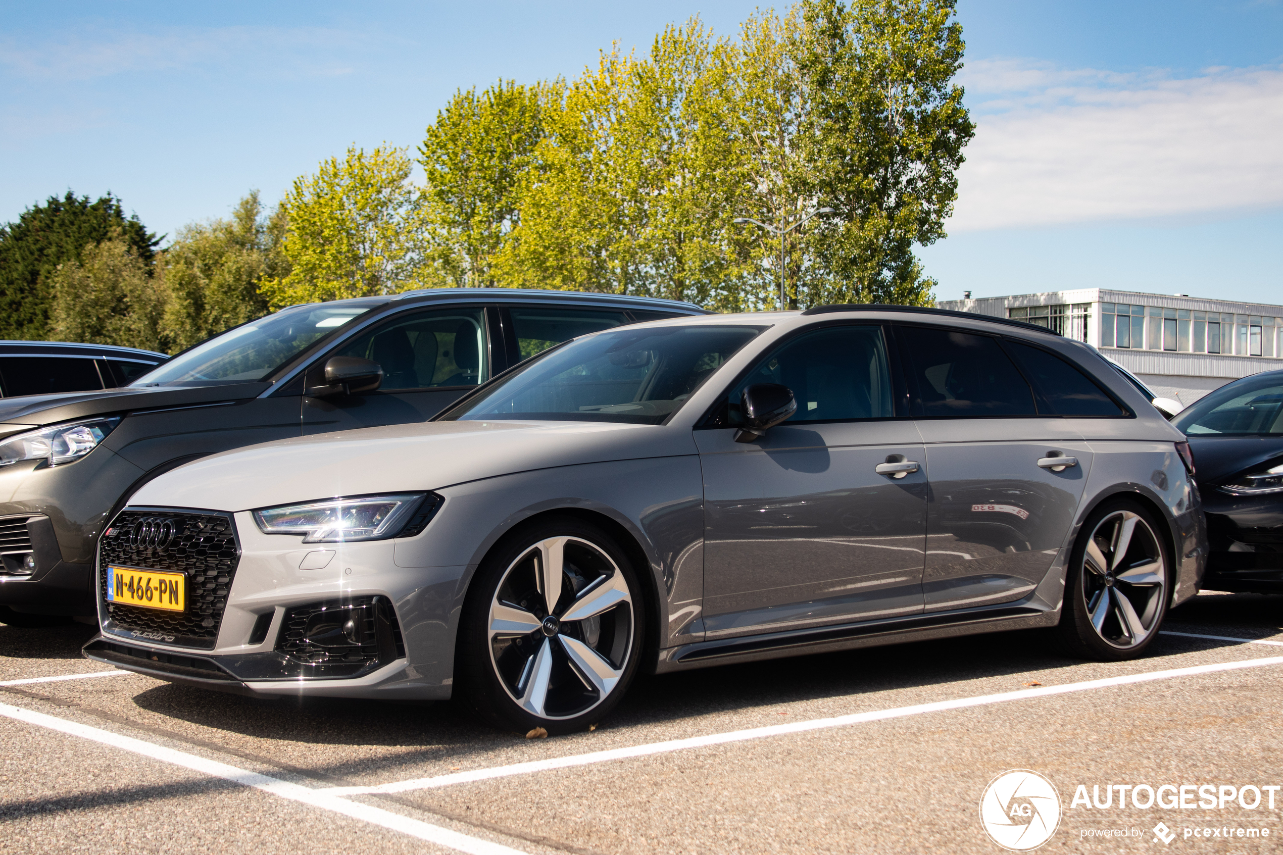 Audi RS4 Avant B9