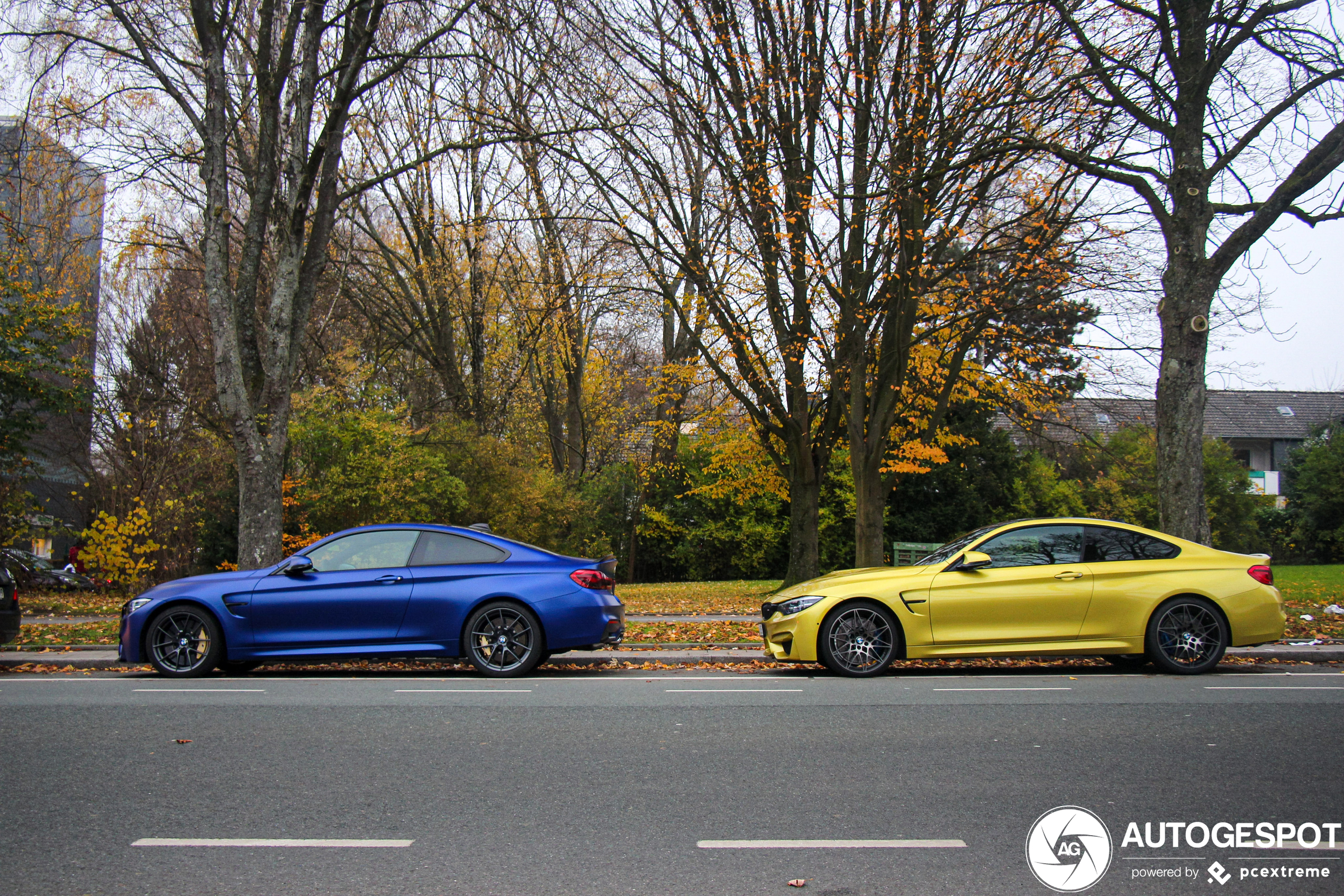 BMW M4 F82 Coupé