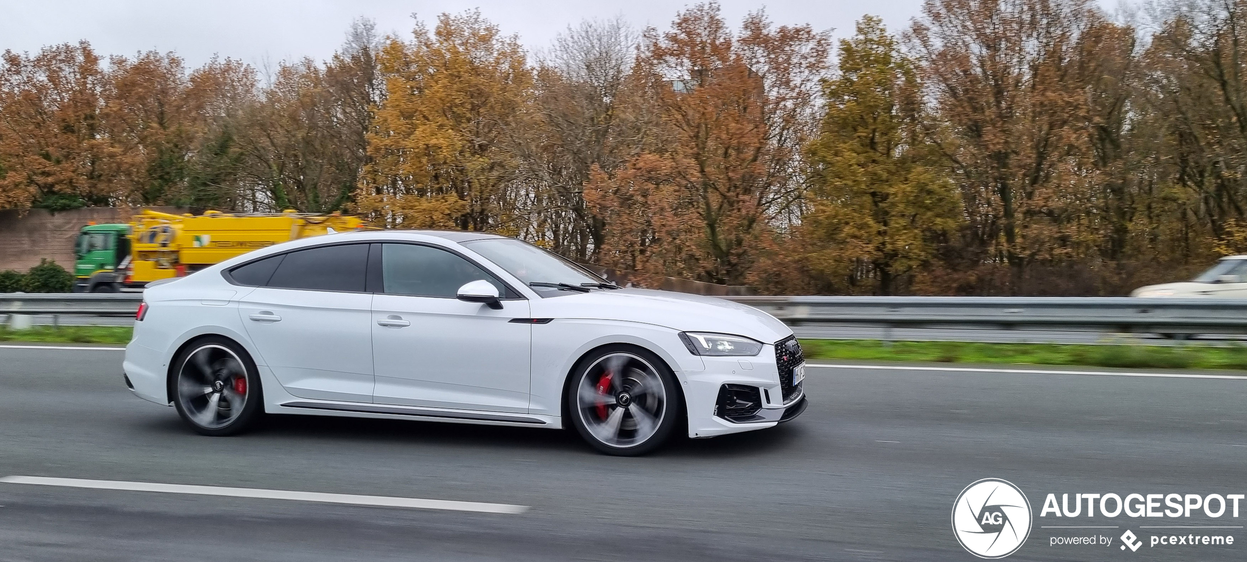 Audi RS5 Sportback B9