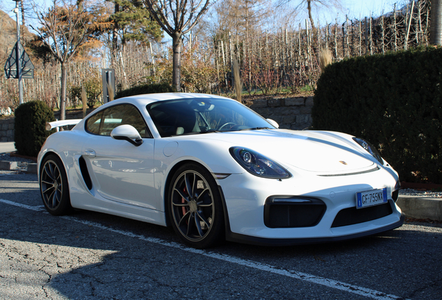 Porsche 981 Cayman GT4