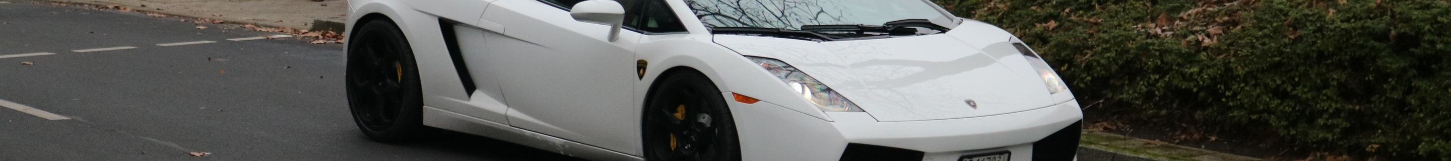 Lamborghini Gallardo