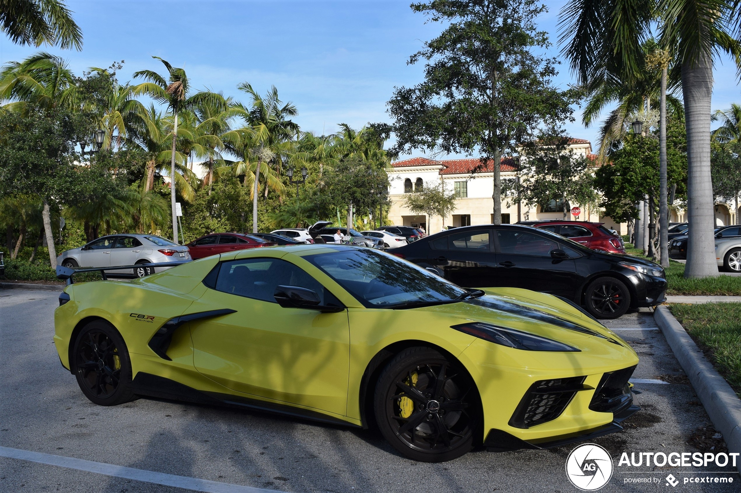 Chevrolet Corvette C8 Convertible IMSA GTLM Championship Edition