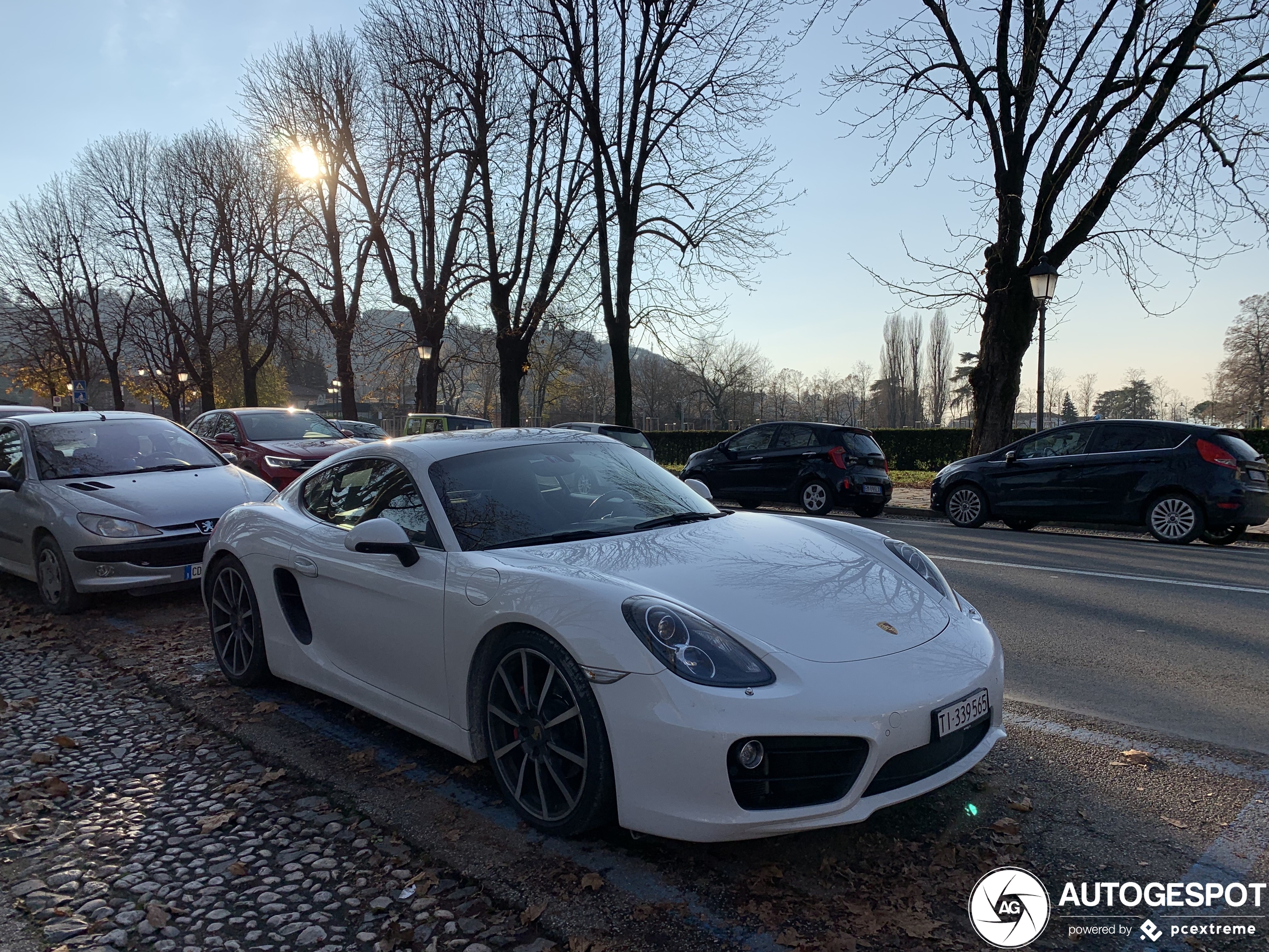 Porsche 981 Cayman S