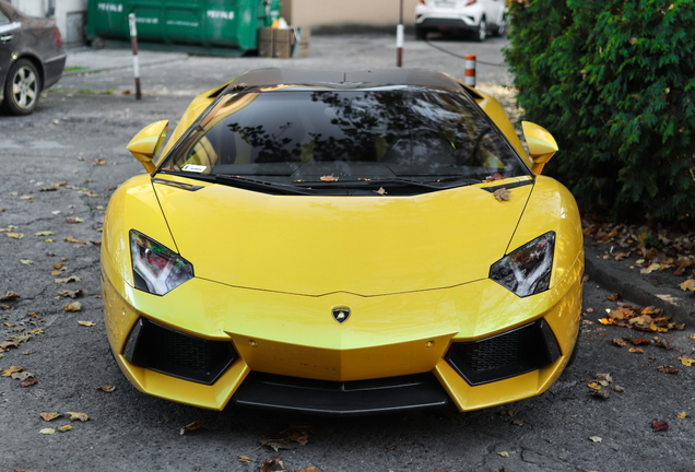 Lamborghini Aventador LP700-4 Roadster