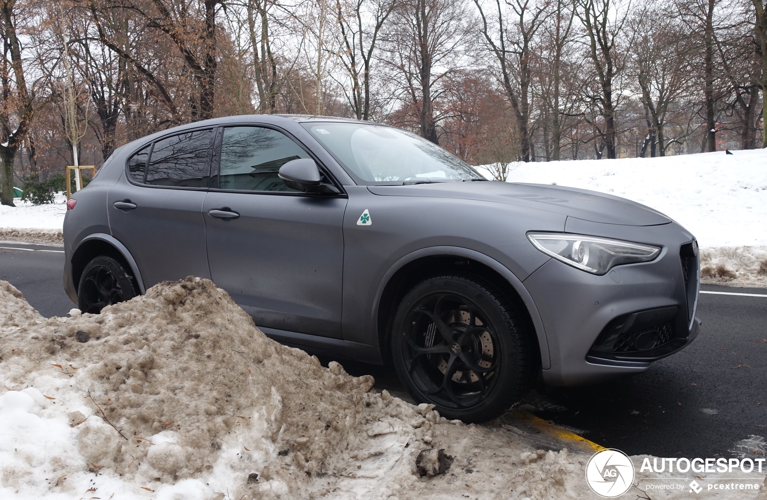 Alfa Romeo Stelvio Quadrifoglio