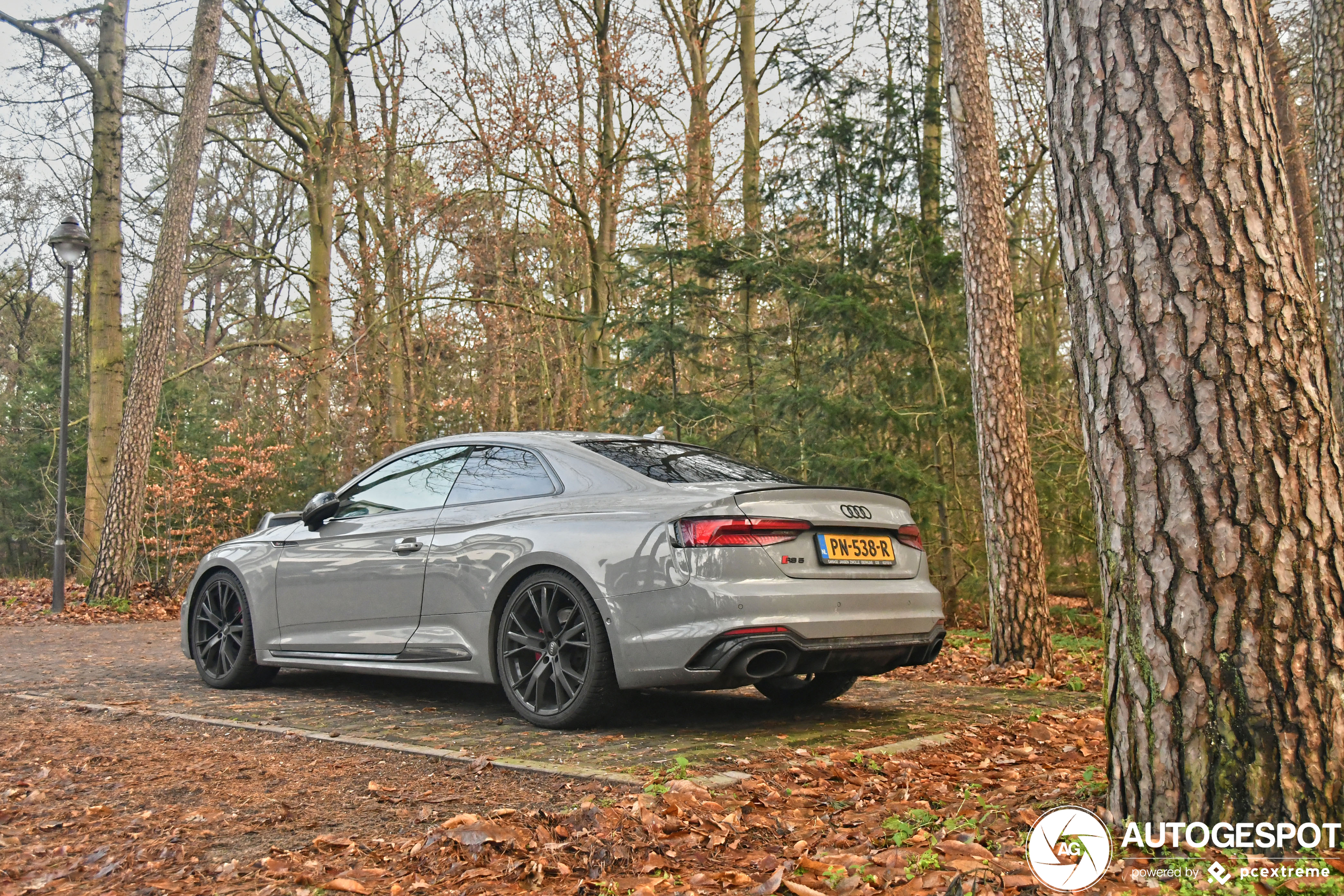 Audi RS5 B9