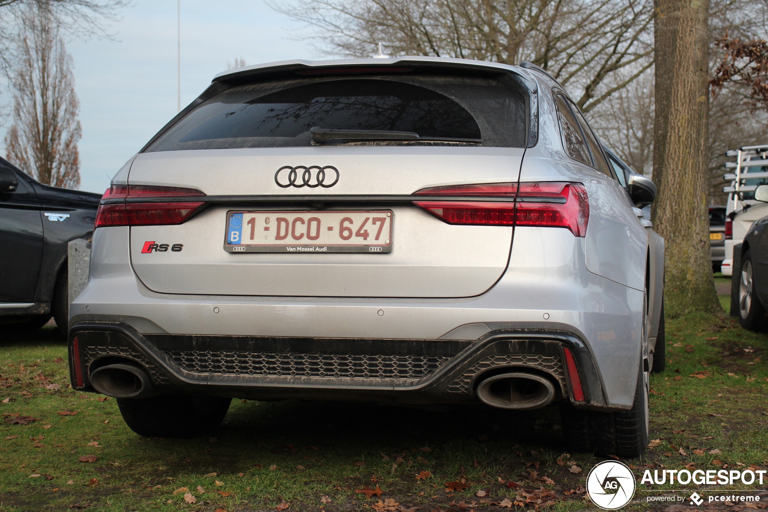 Audi RS6 Avant C8