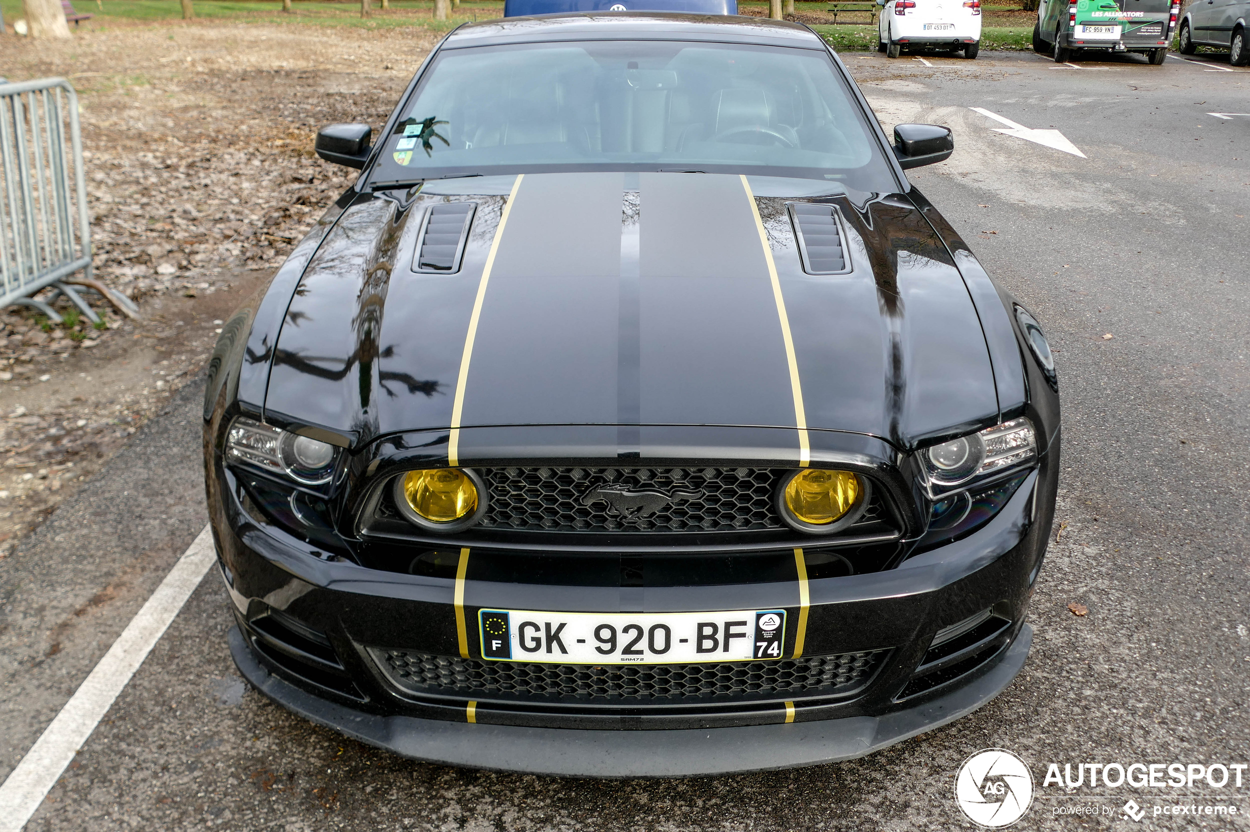 Ford Mustang GT 2013