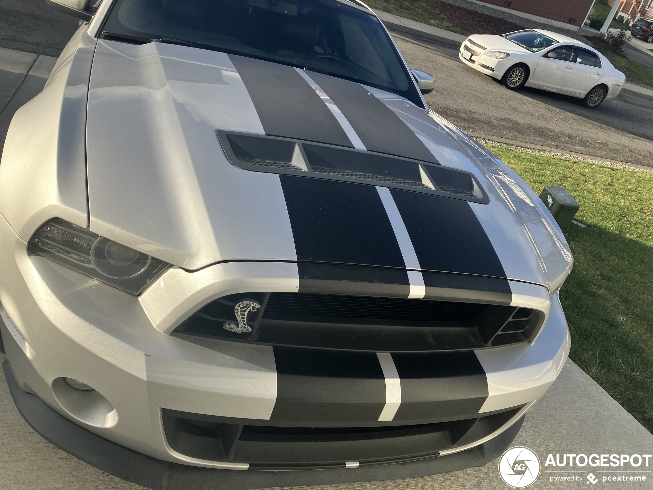 Ford Mustang Shelby GT500 2013