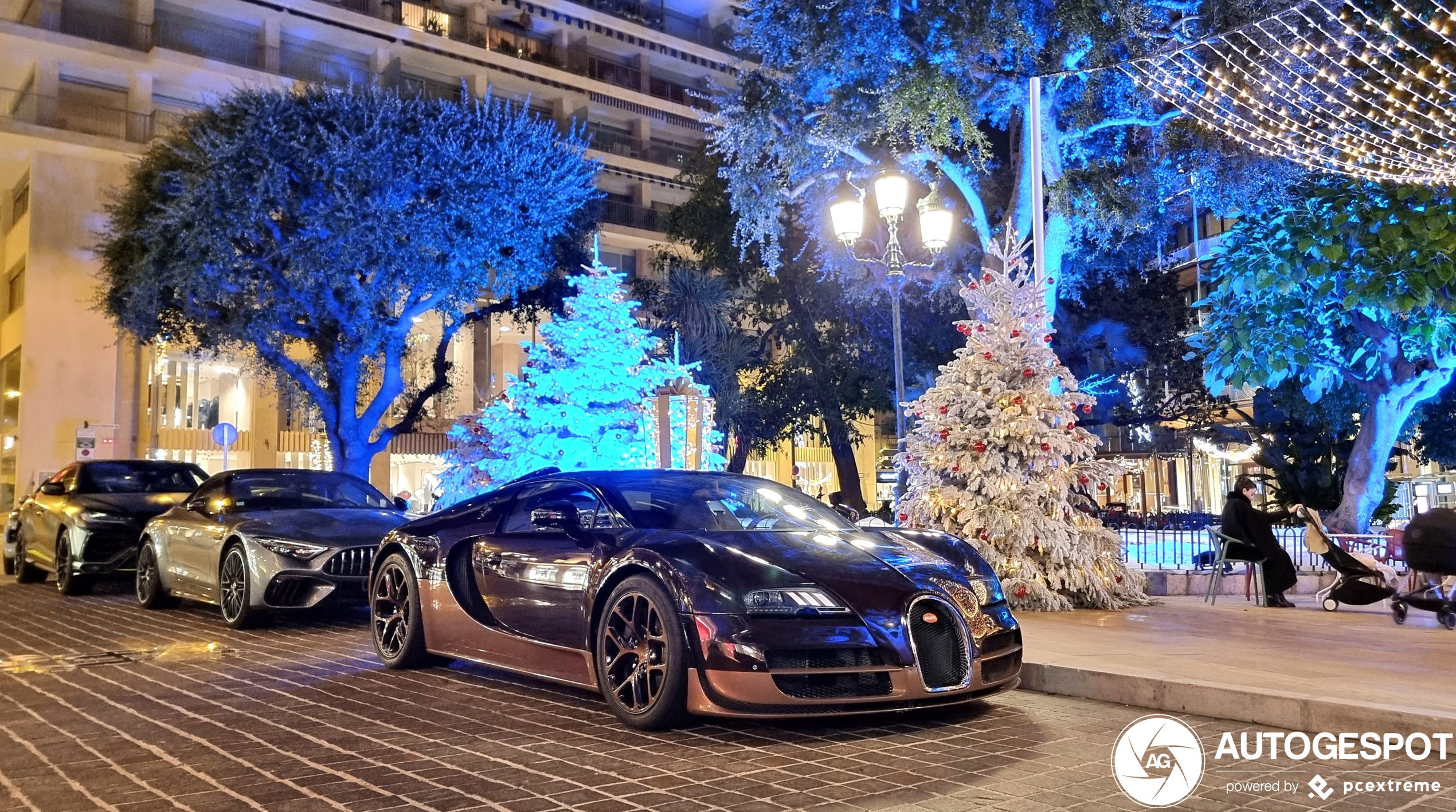 Bugatti Veyron 16.4 Grand Sport Vitesse Rembrandt Bugatti