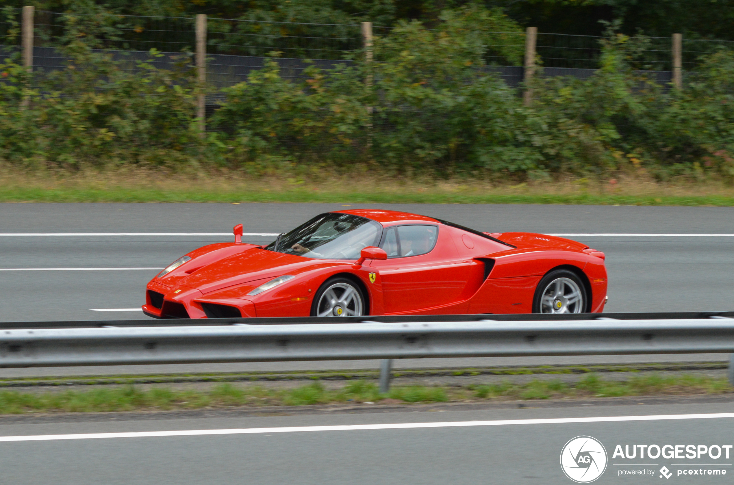 Ferrari Enzo Ferrari