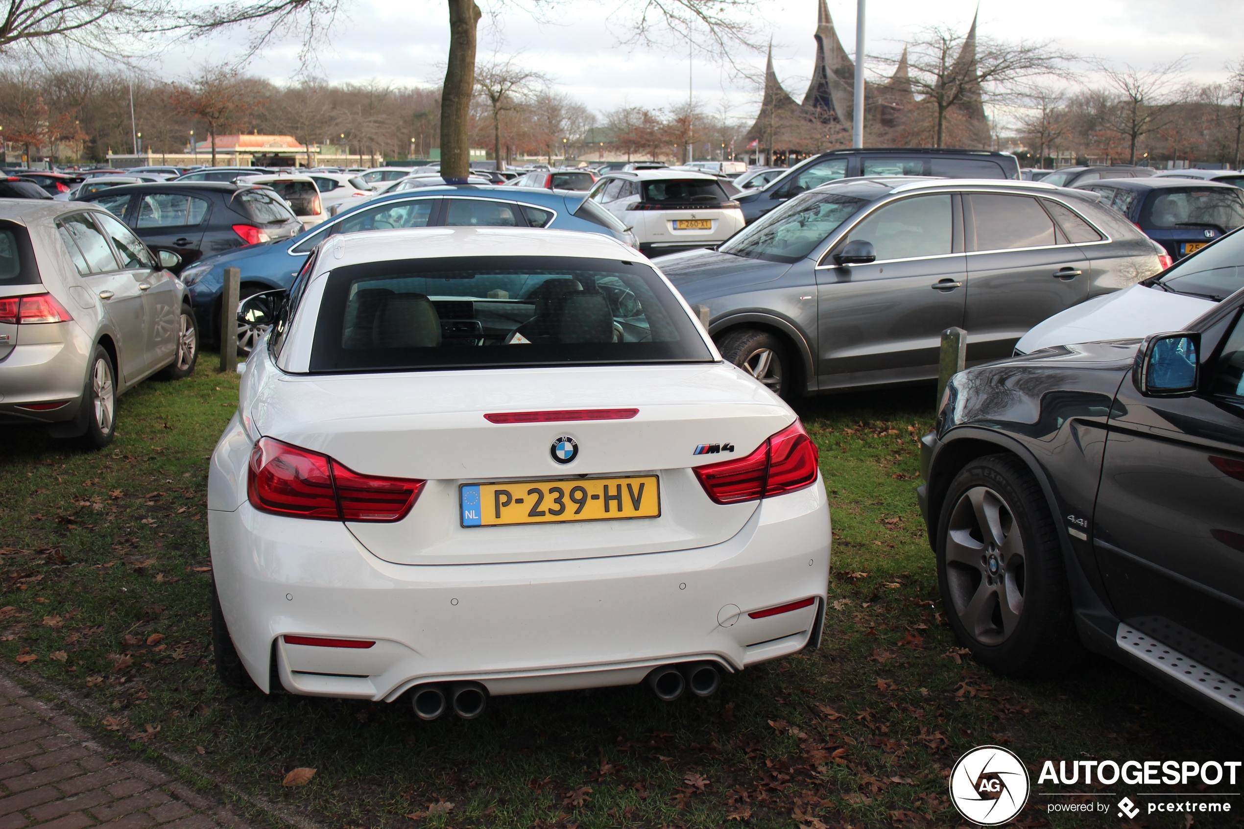 BMW M4 F83 Convertible