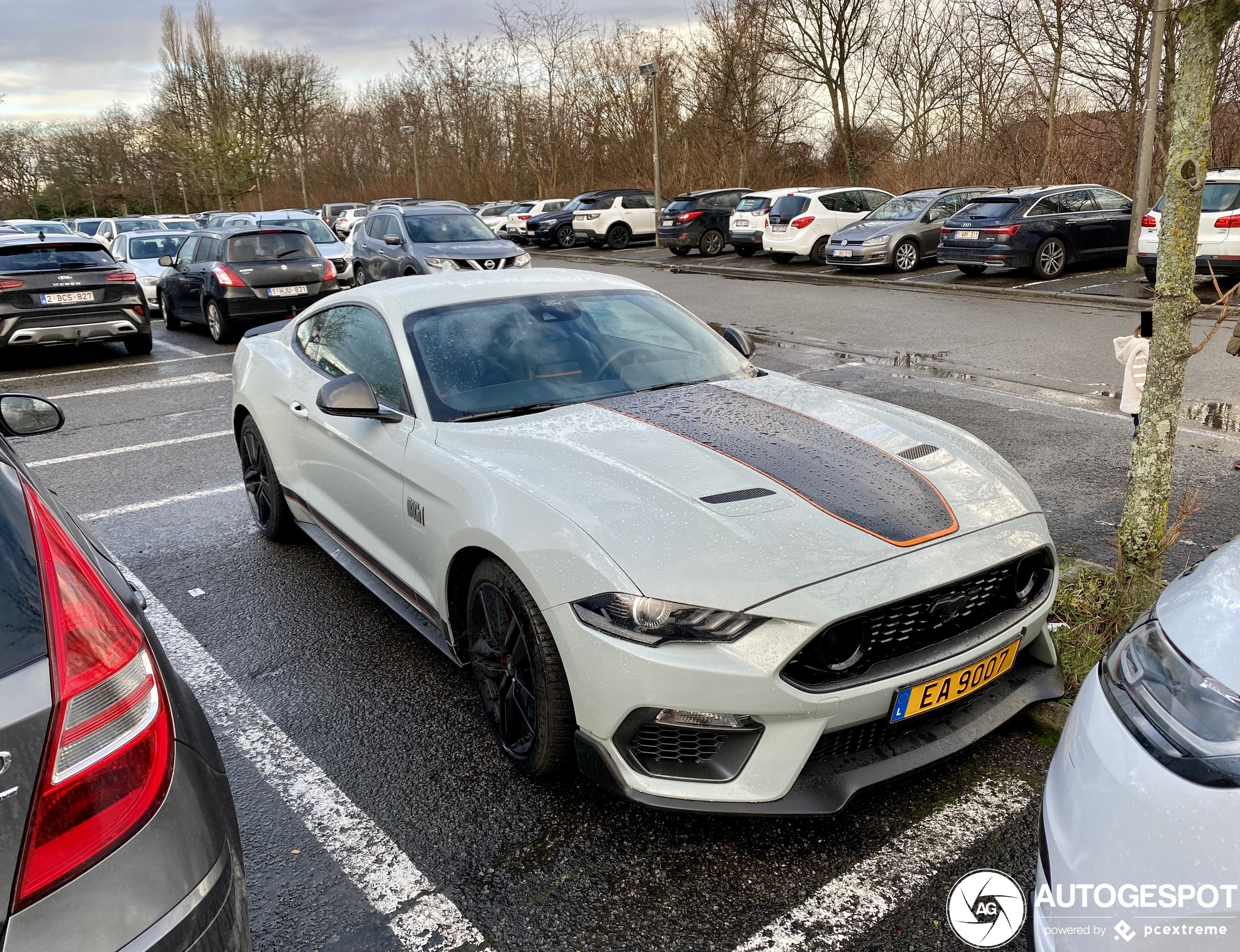 Ford Mustang Mach 1 2021