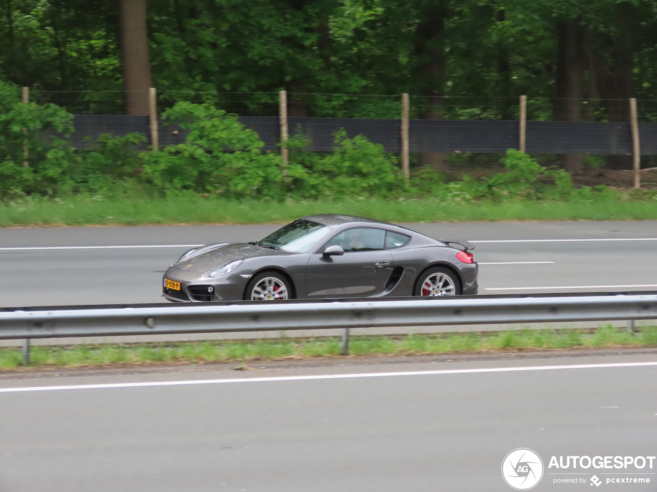 Porsche 981 Cayman S