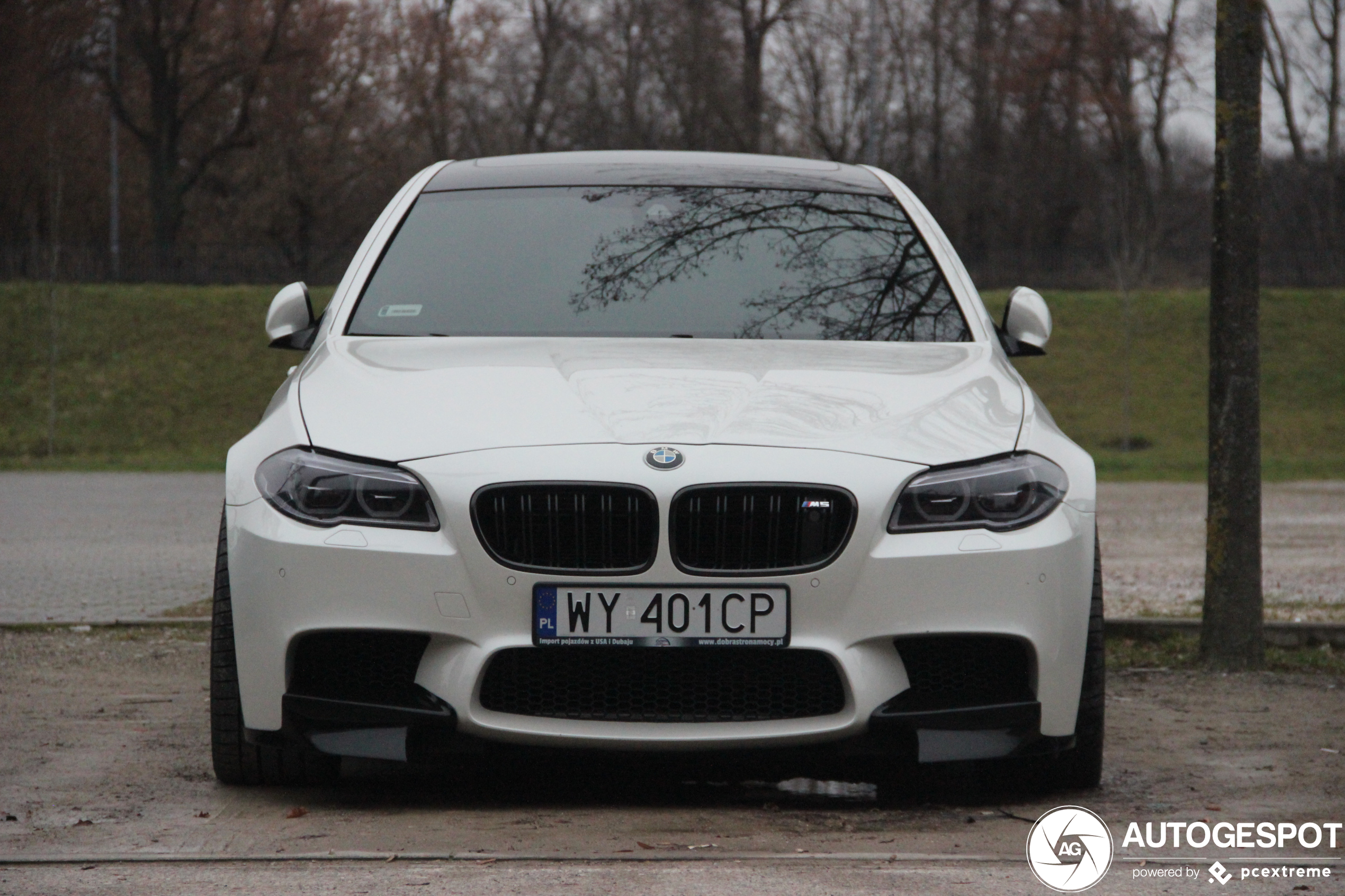 BMW M5 F10 2014