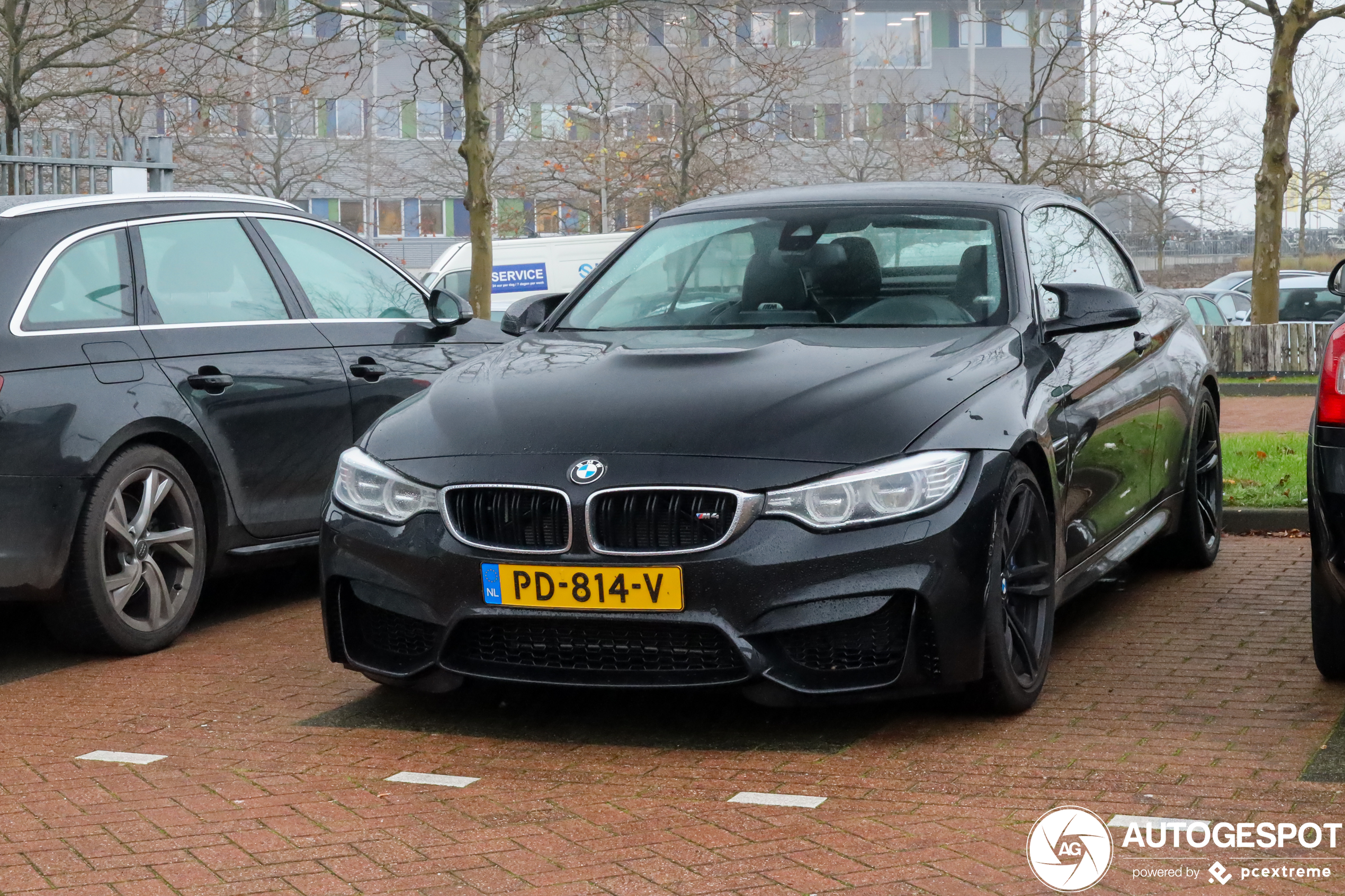 BMW M4 F83 Convertible