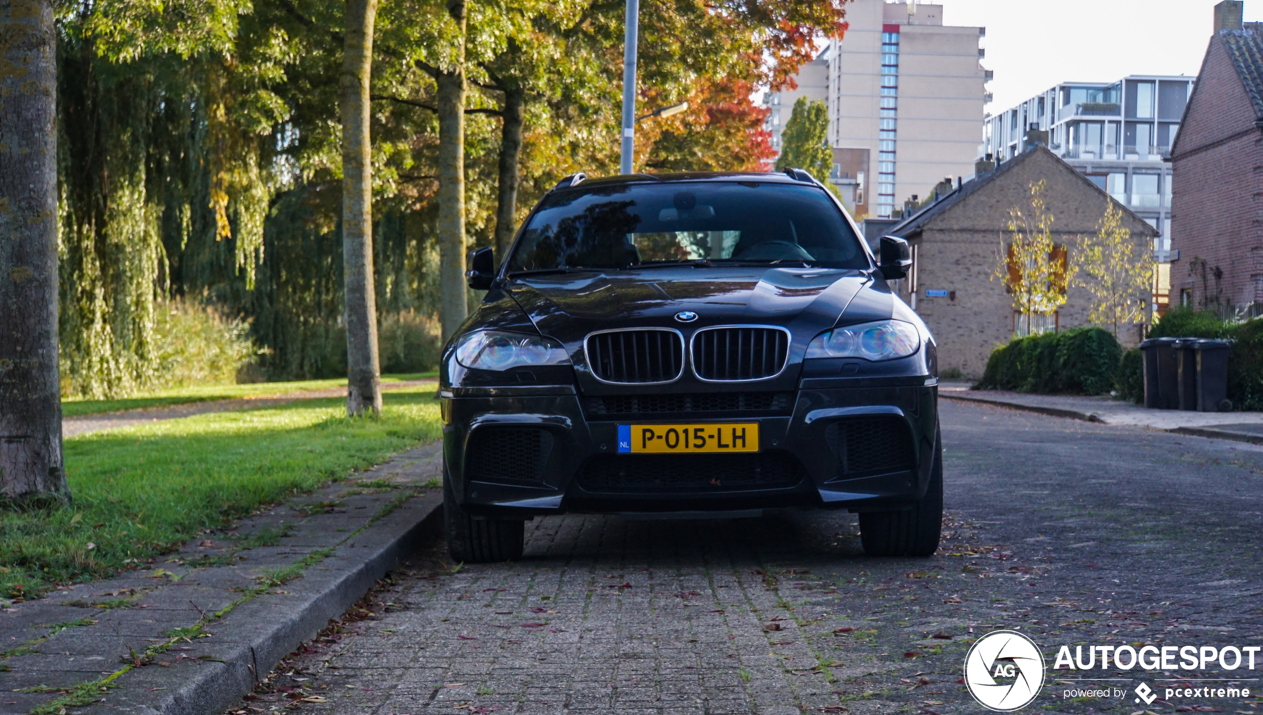 BMW X6 M E71