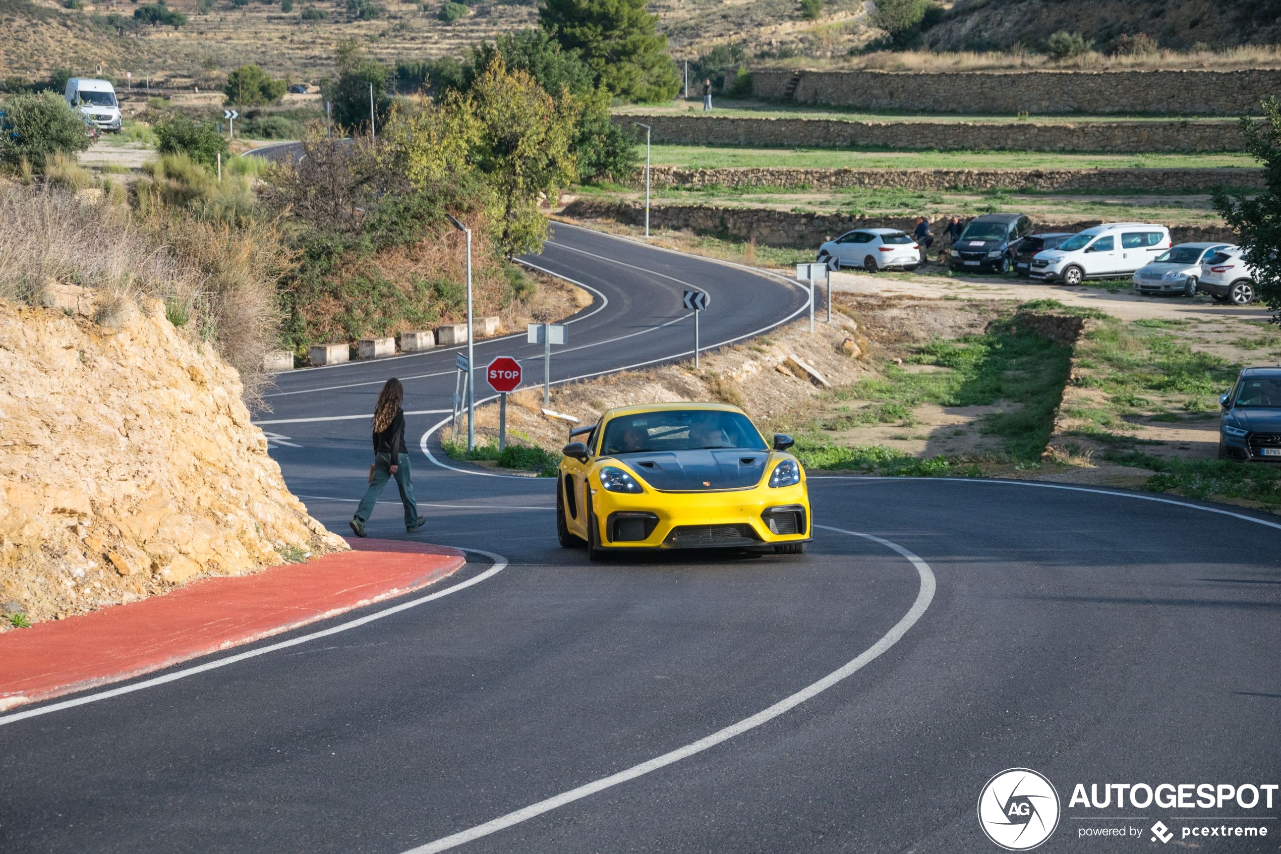 Porsche 718 Cayman GT4 RS Weissach Package