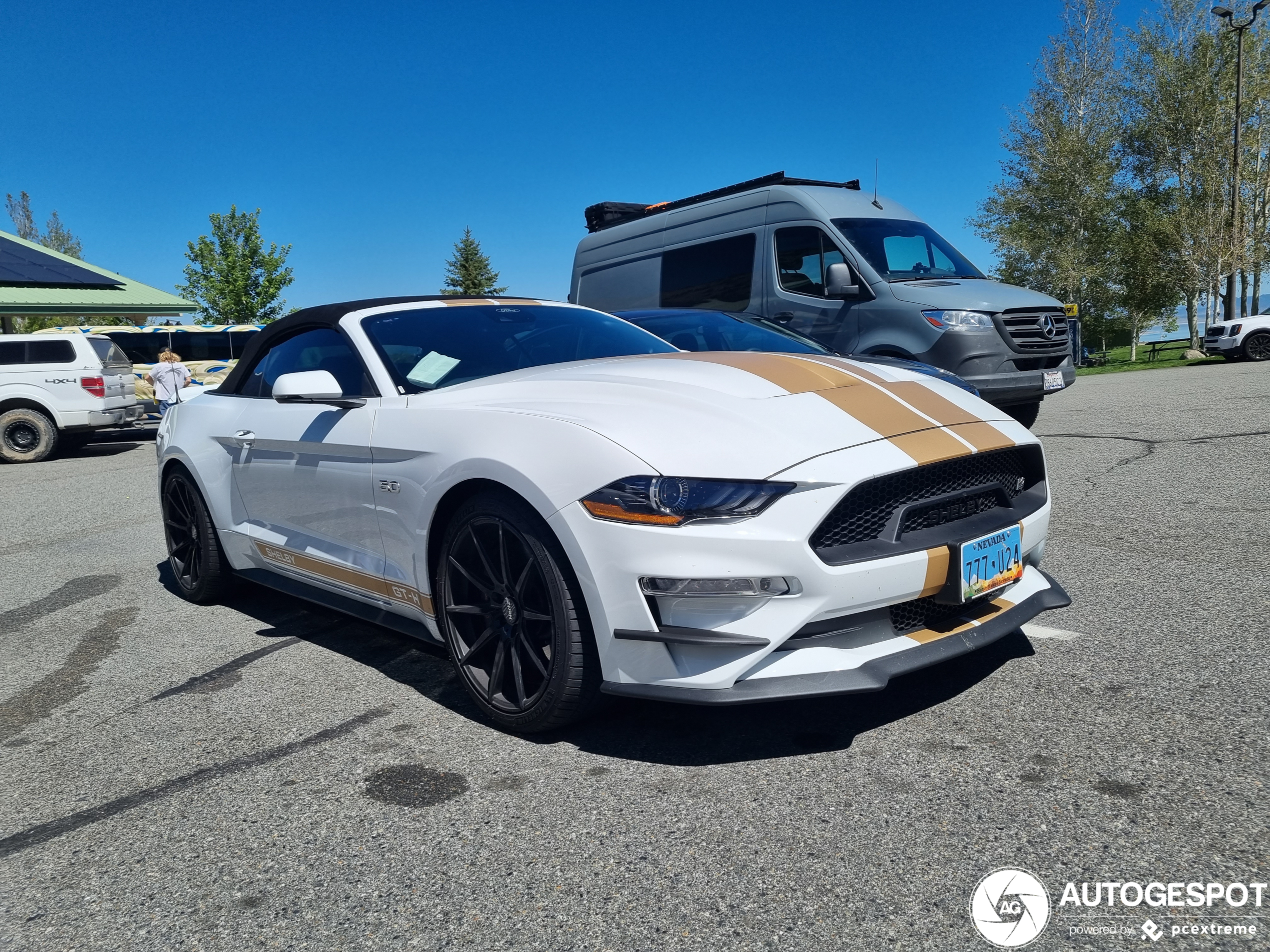 Ford Mustang Shelby GT-H 2018 Convertible