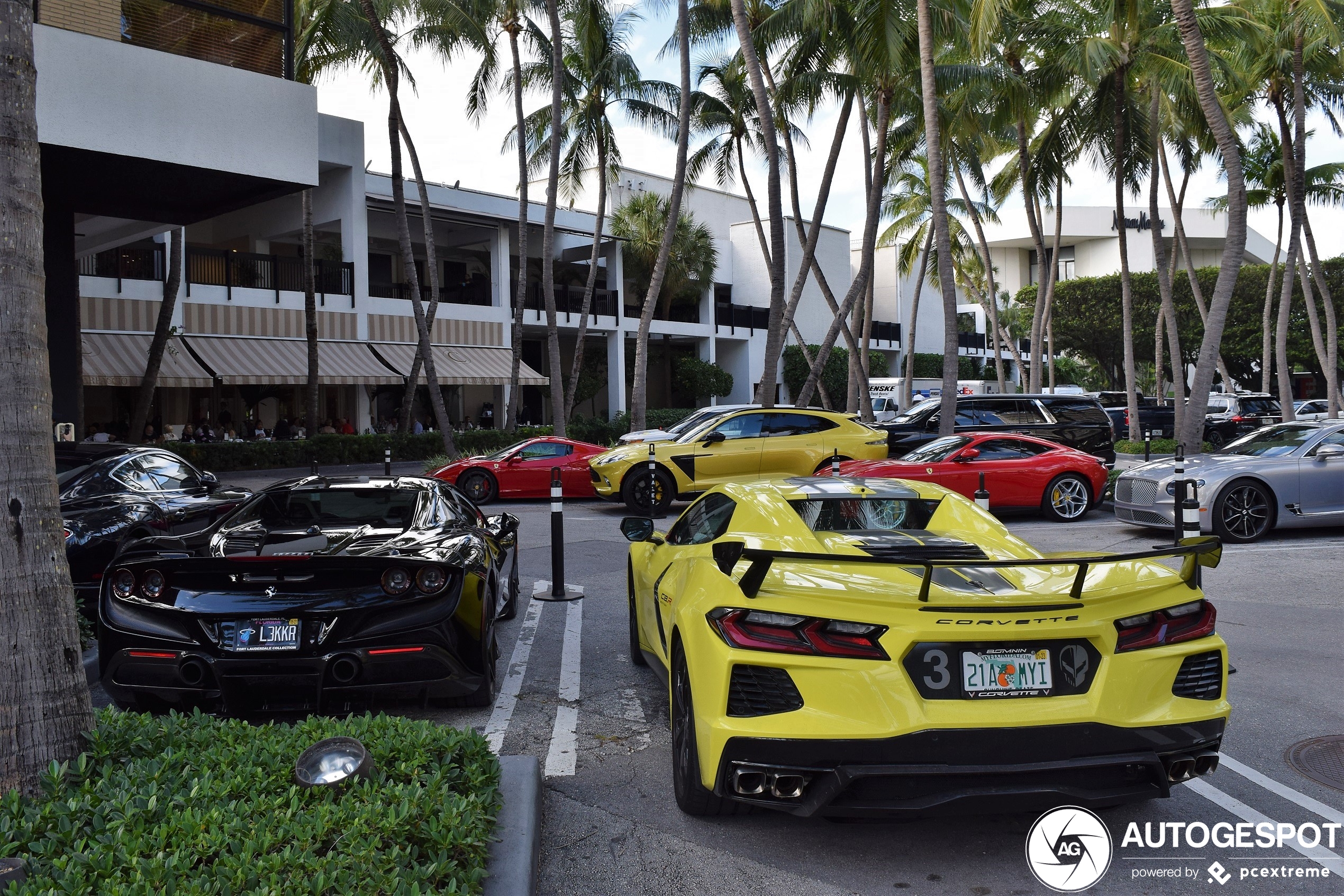 Chevrolet Corvette C8 Convertible IMSA GTLM Championship Edition