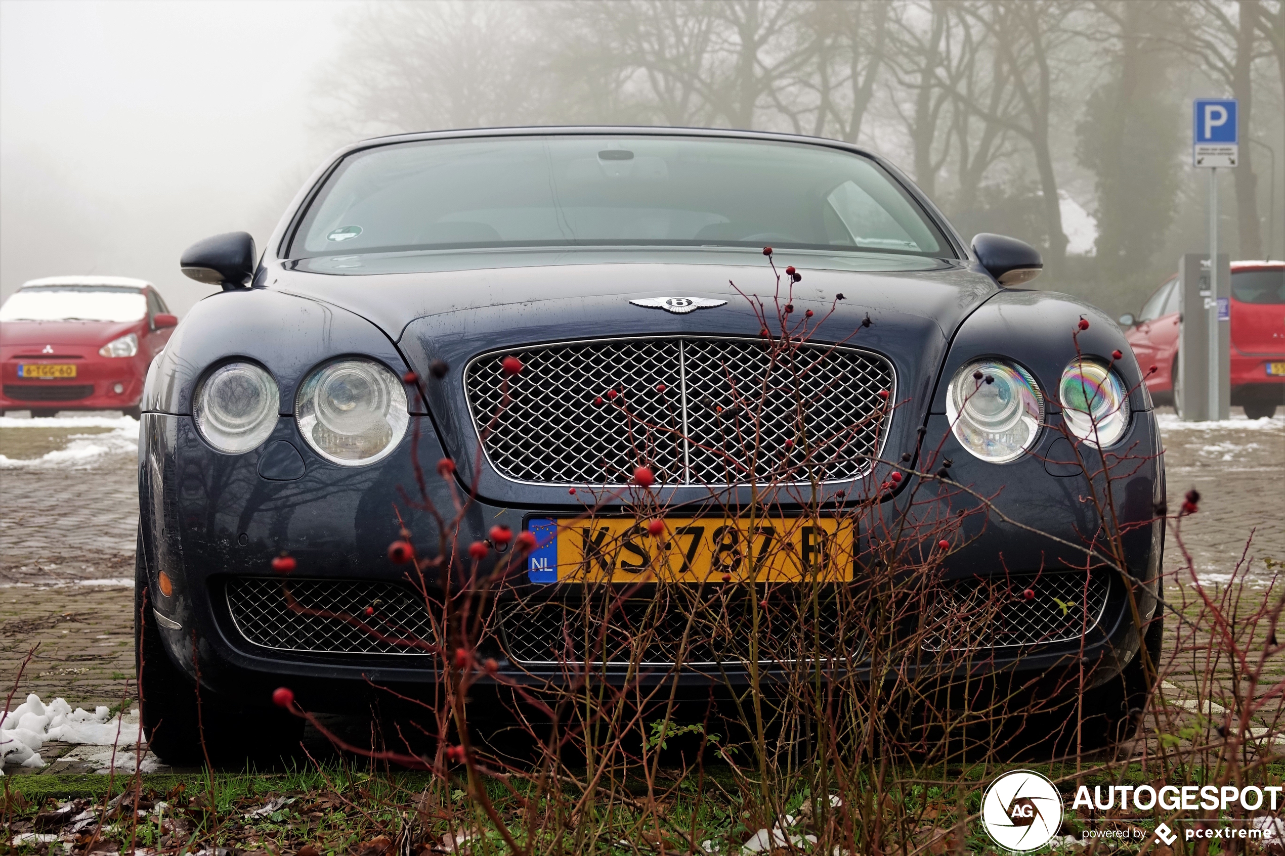 Bentley Continental GTC