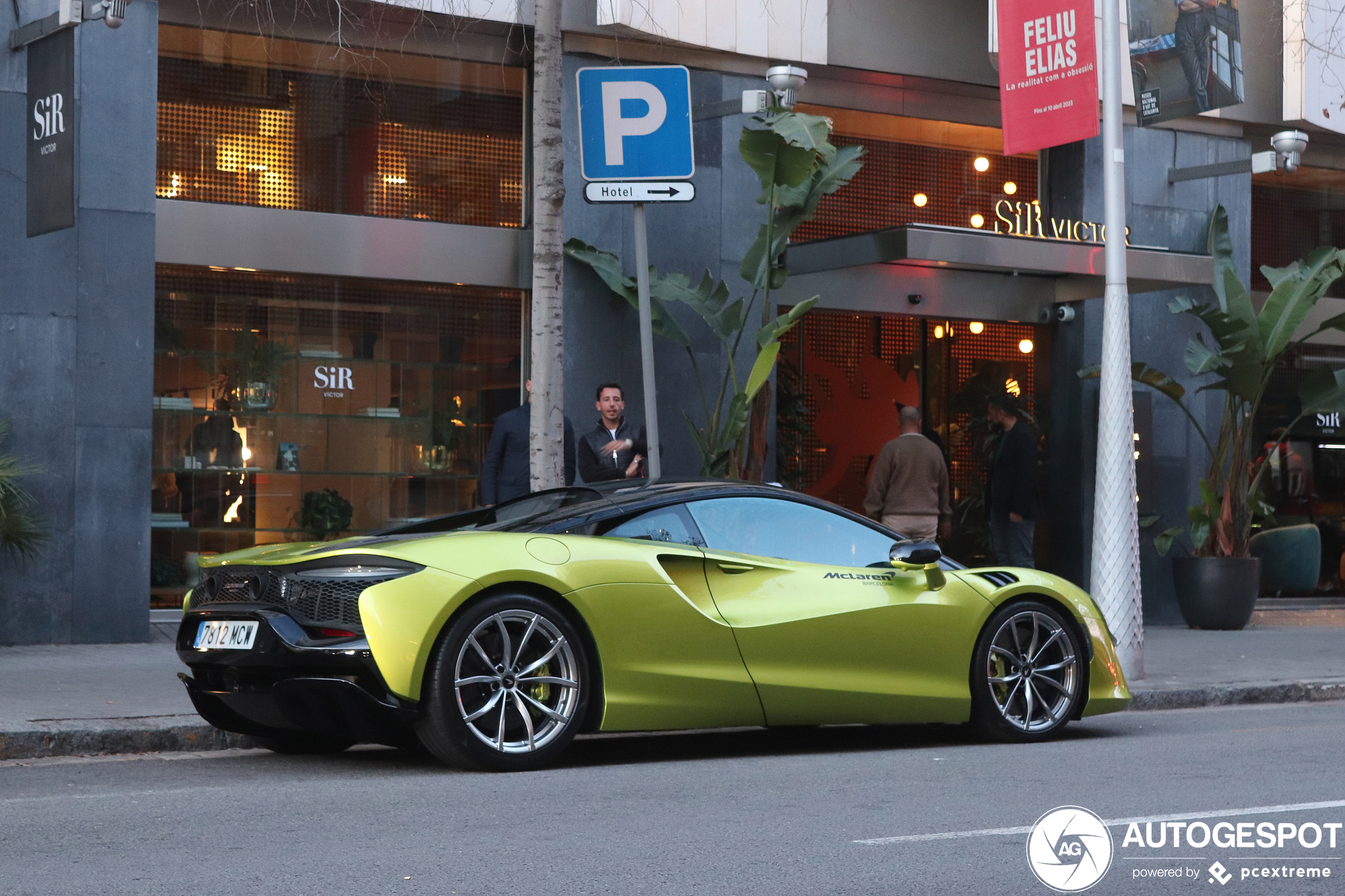 Groene Artura in Barca