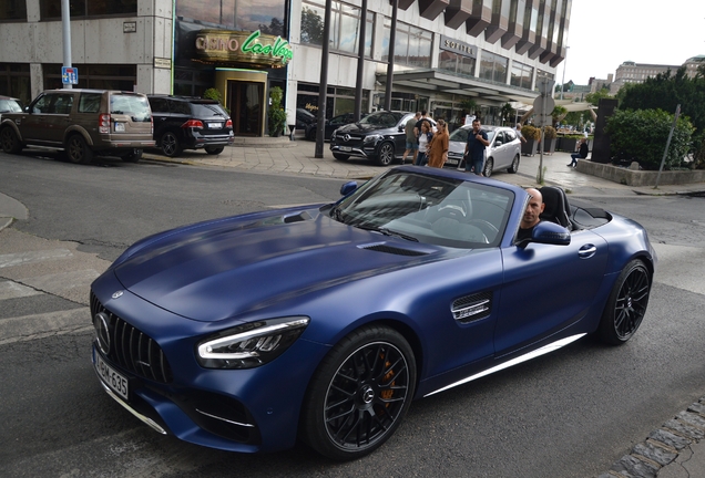 Mercedes-AMG GT C Roadster R190 2019