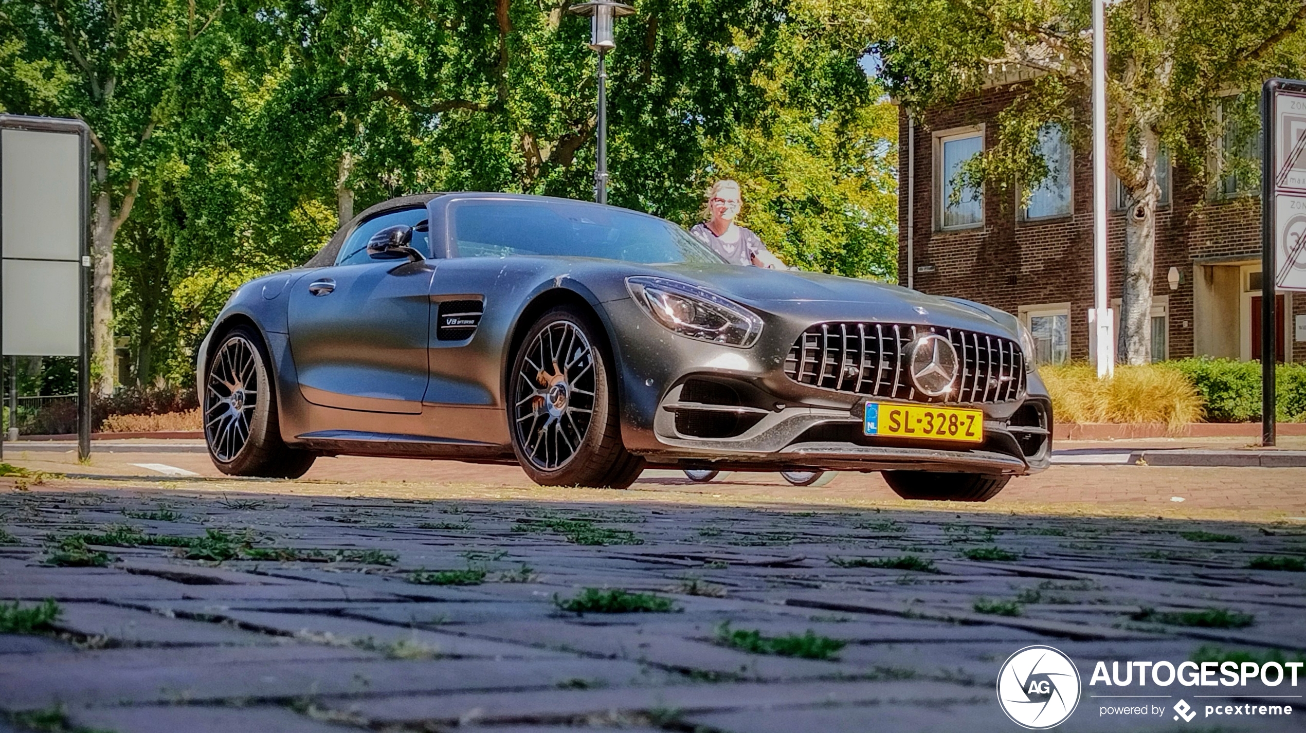 Mercedes-AMG GT C Roadster R190 Edition 50