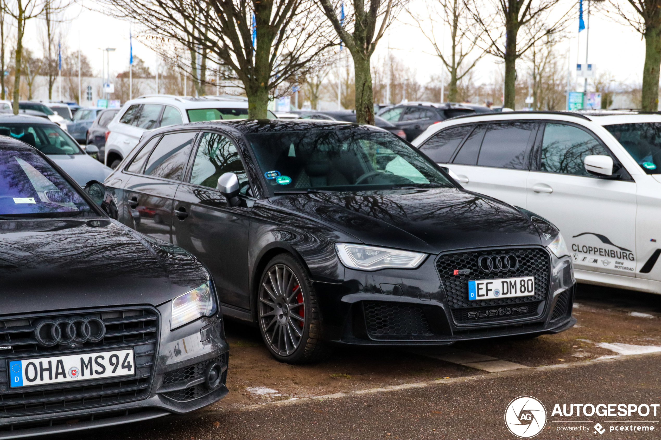 Audi RS3 Sportback 8V