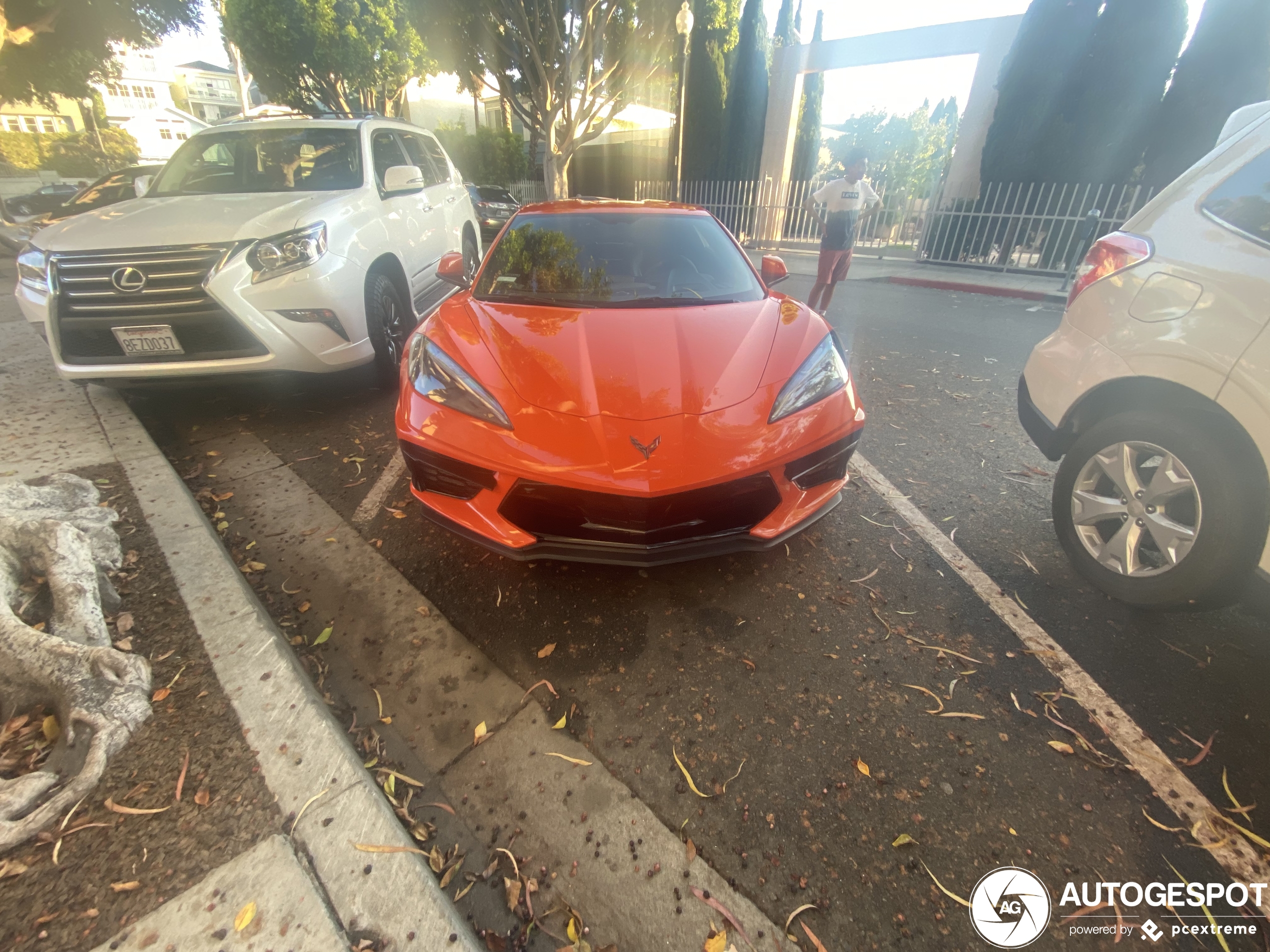 Chevrolet Corvette C8