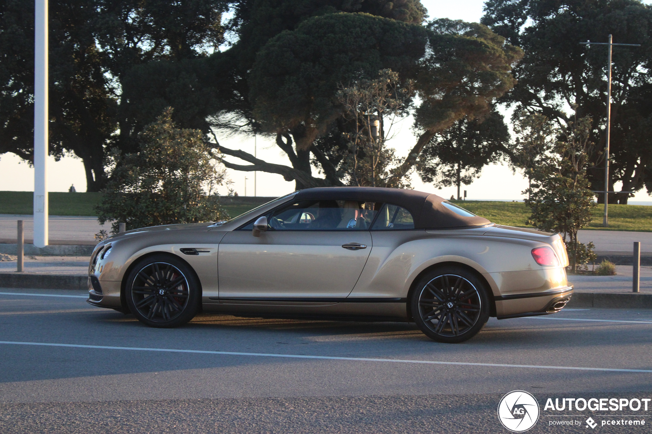 Bentley Continental GTC Speed 2016