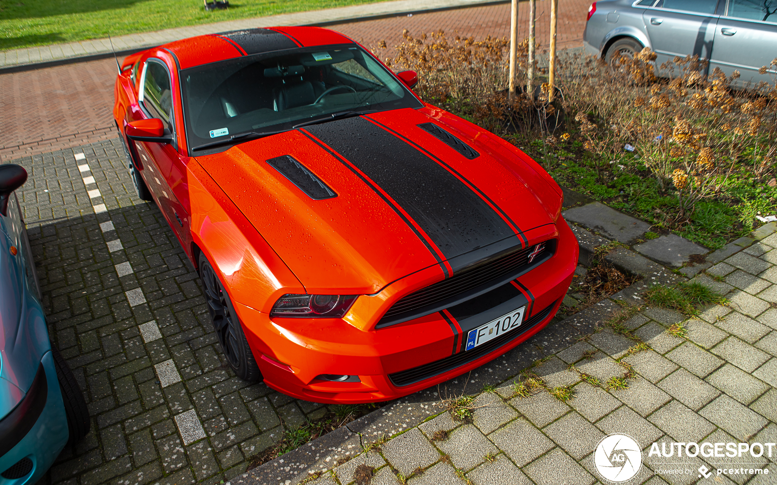 Ford Mustang GT California Special 2013