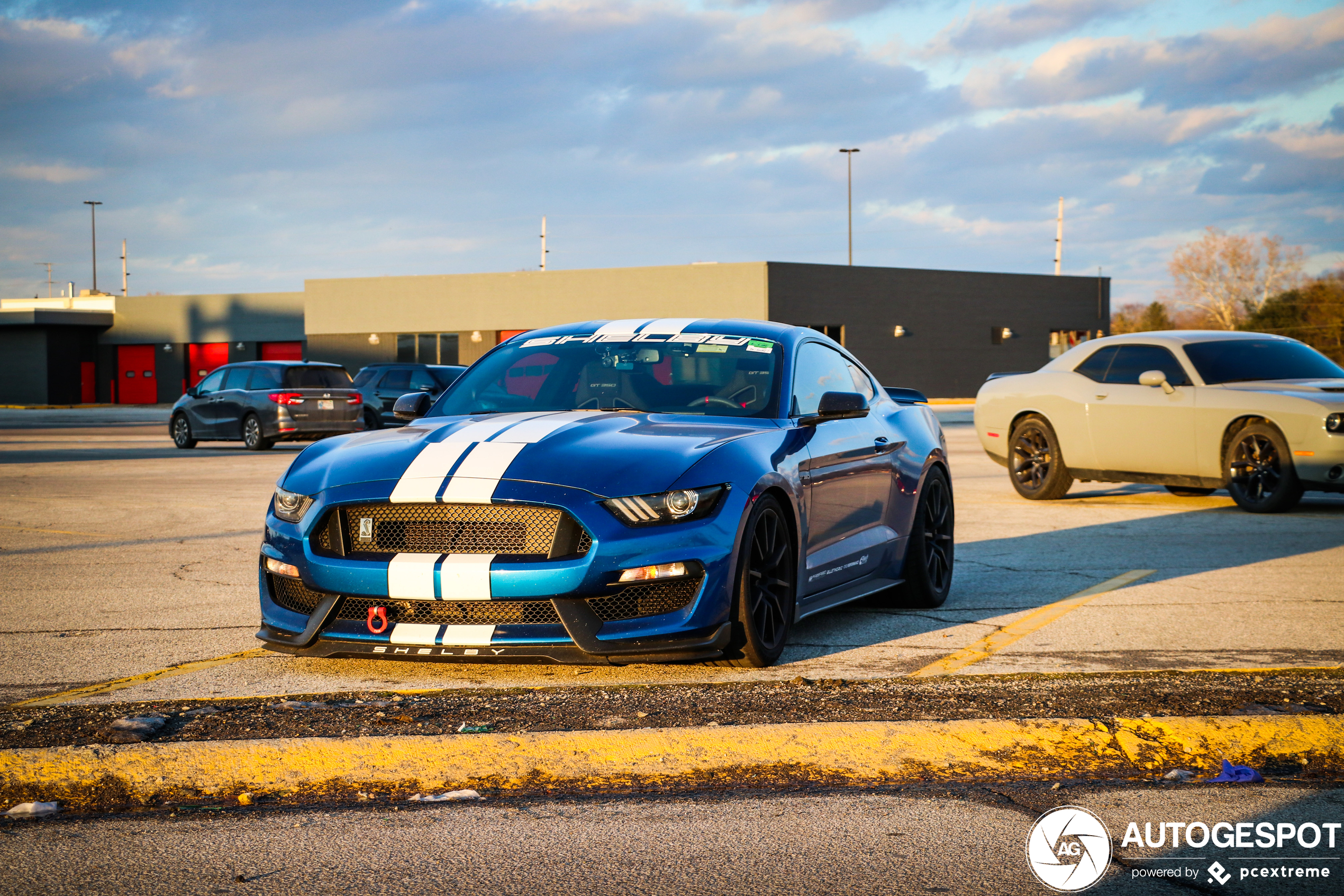 Ford Mustang Shelby GT350 2015