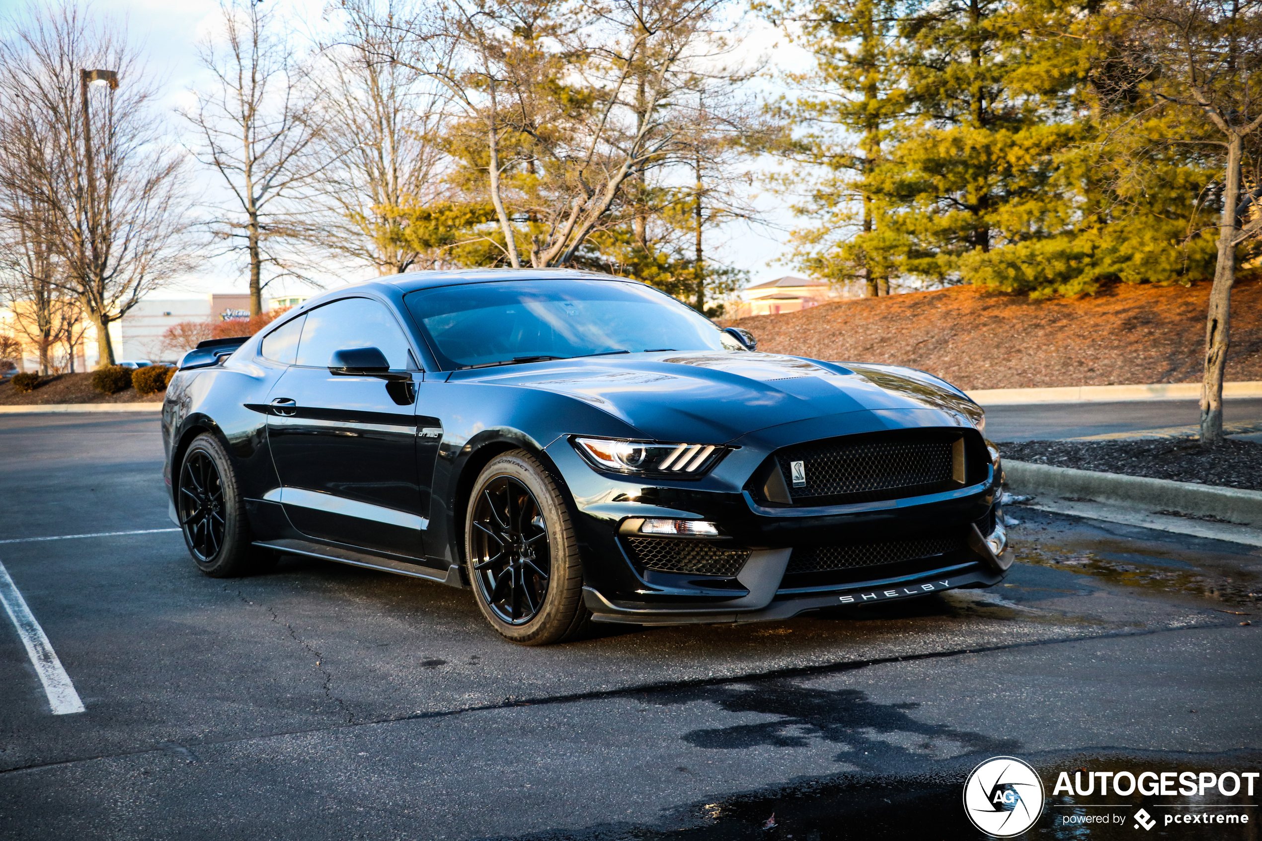 Ford Mustang Shelby GT350 2015