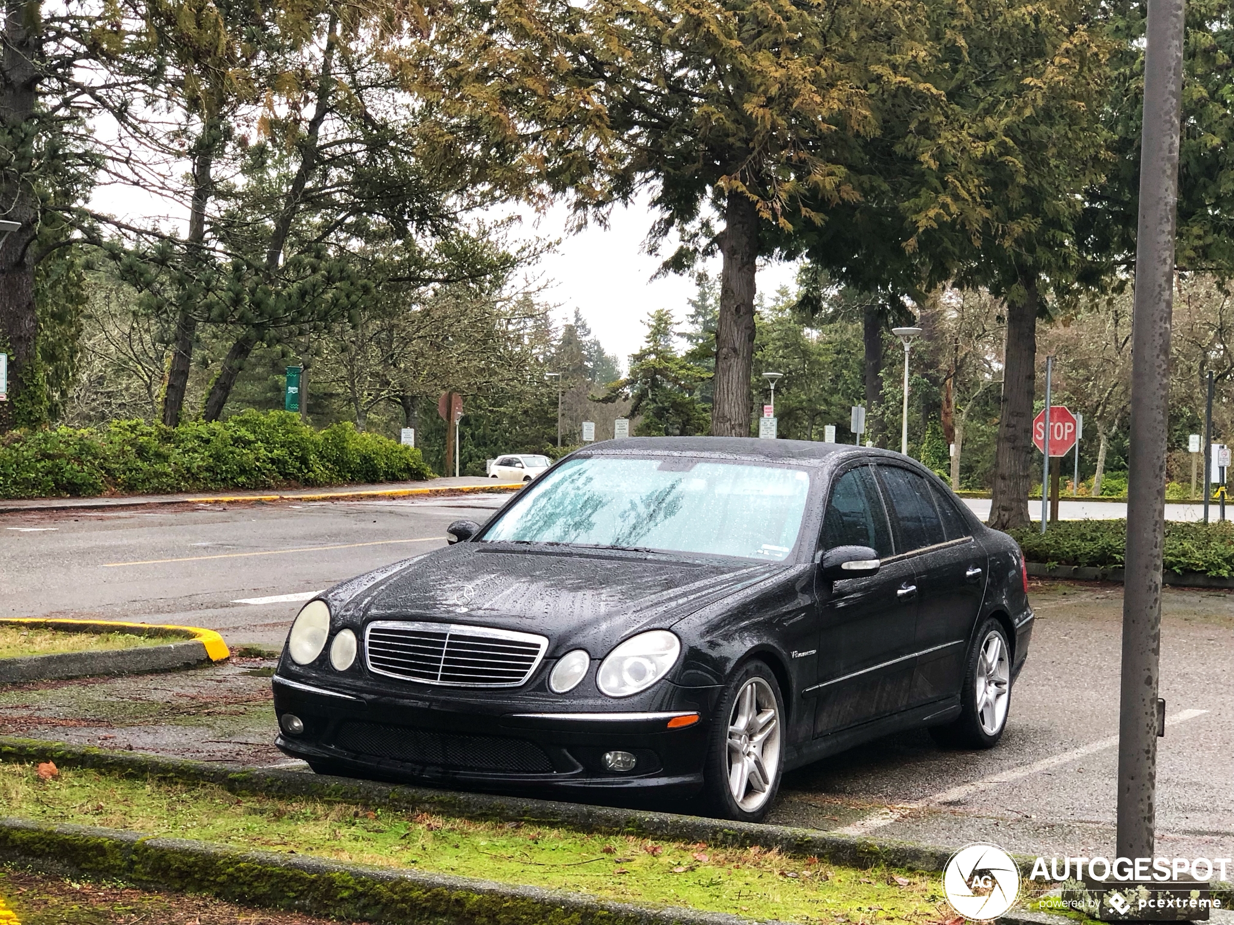 Mercedes-Benz E 55 AMG