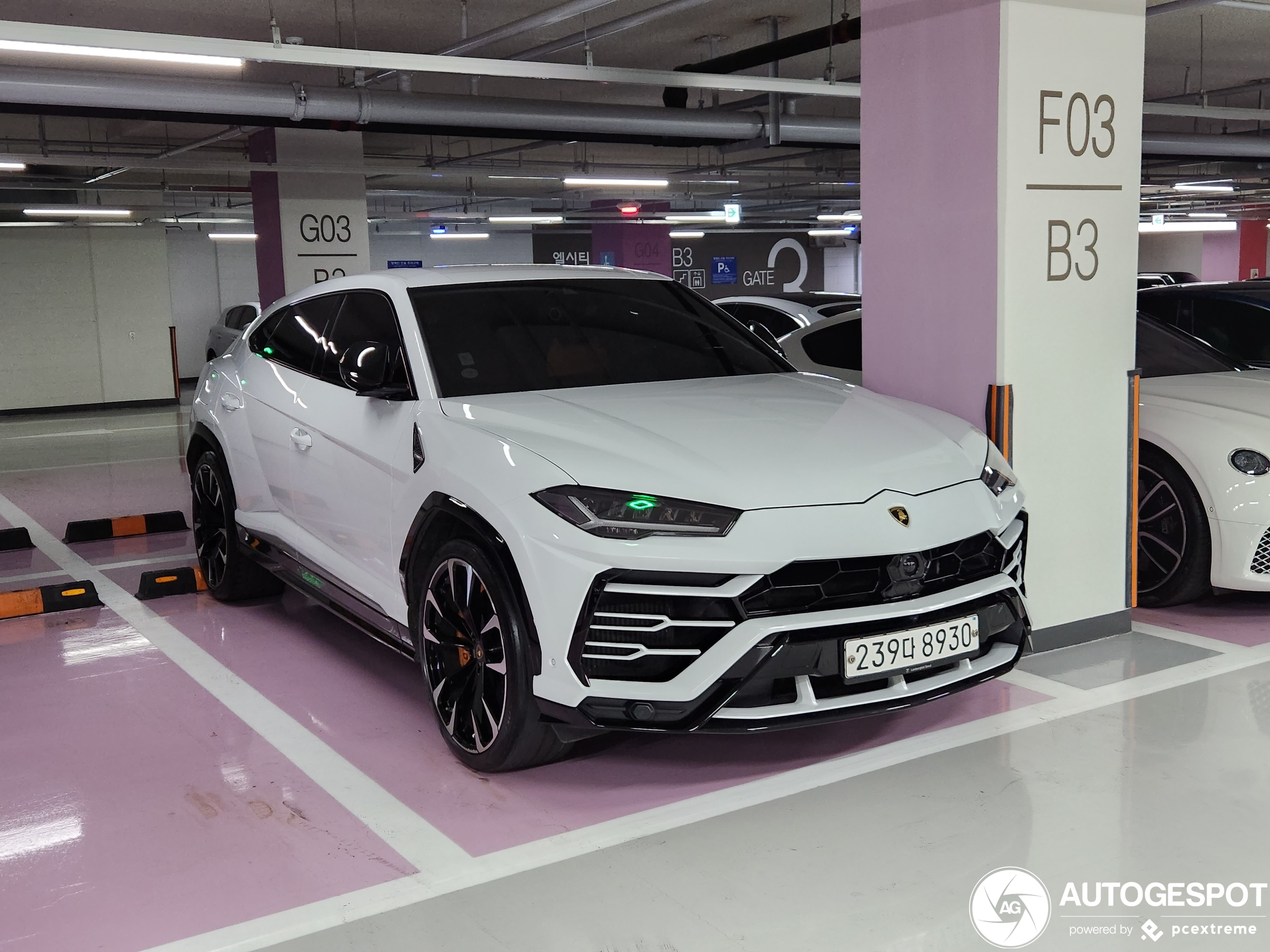 Lamborghini Urus