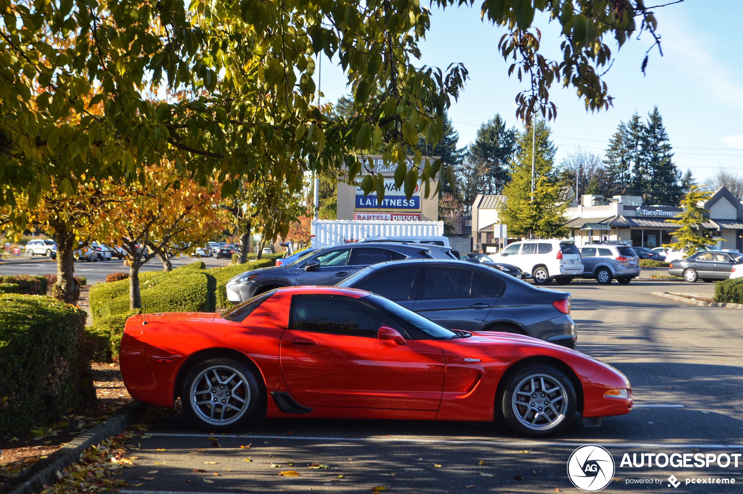 Chevrolet Corvette C5 Z06