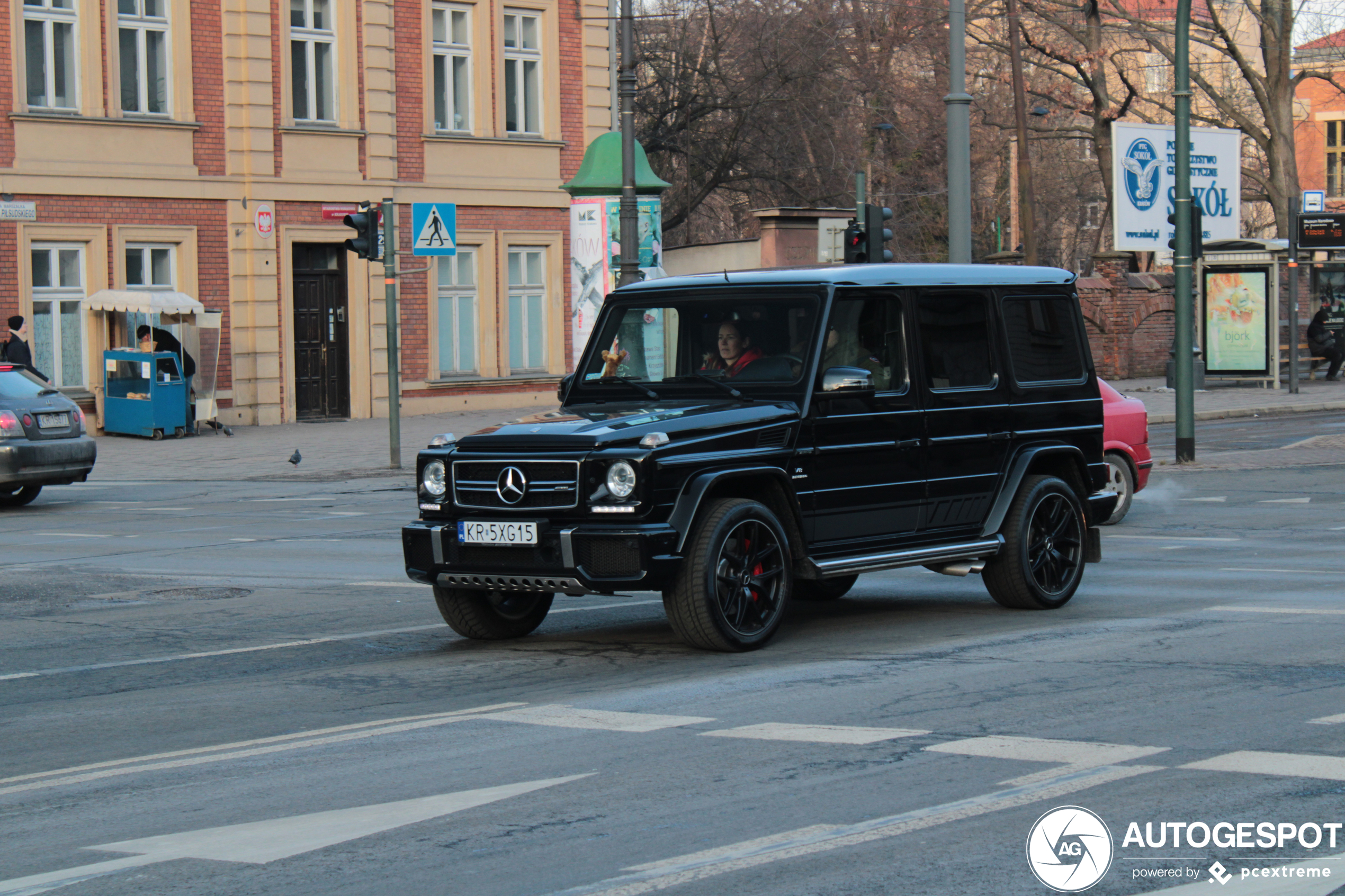 Mercedes-AMG G 63 2016 Edition 463